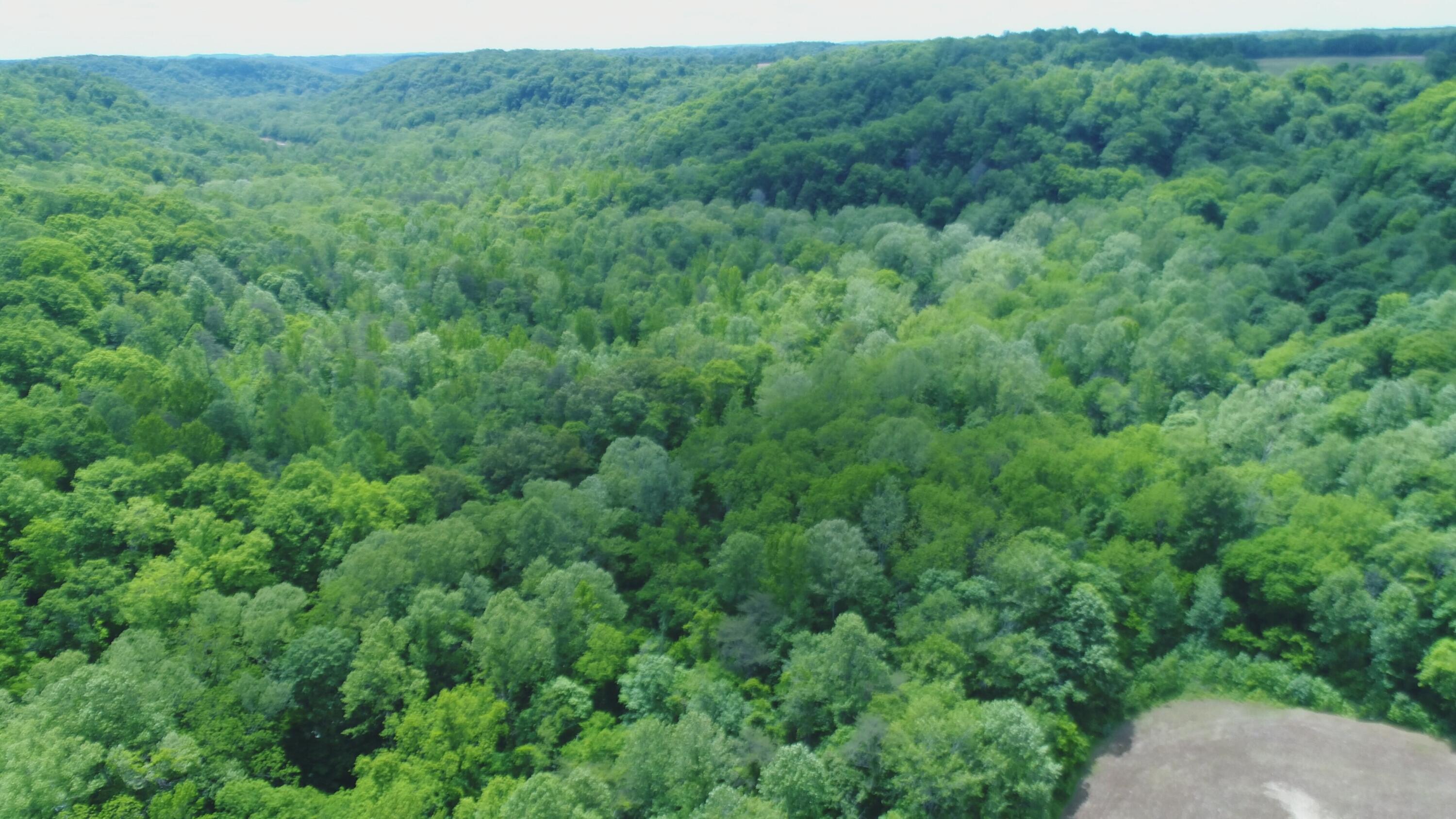 4570 Pointer Creek Road Property Photo 25