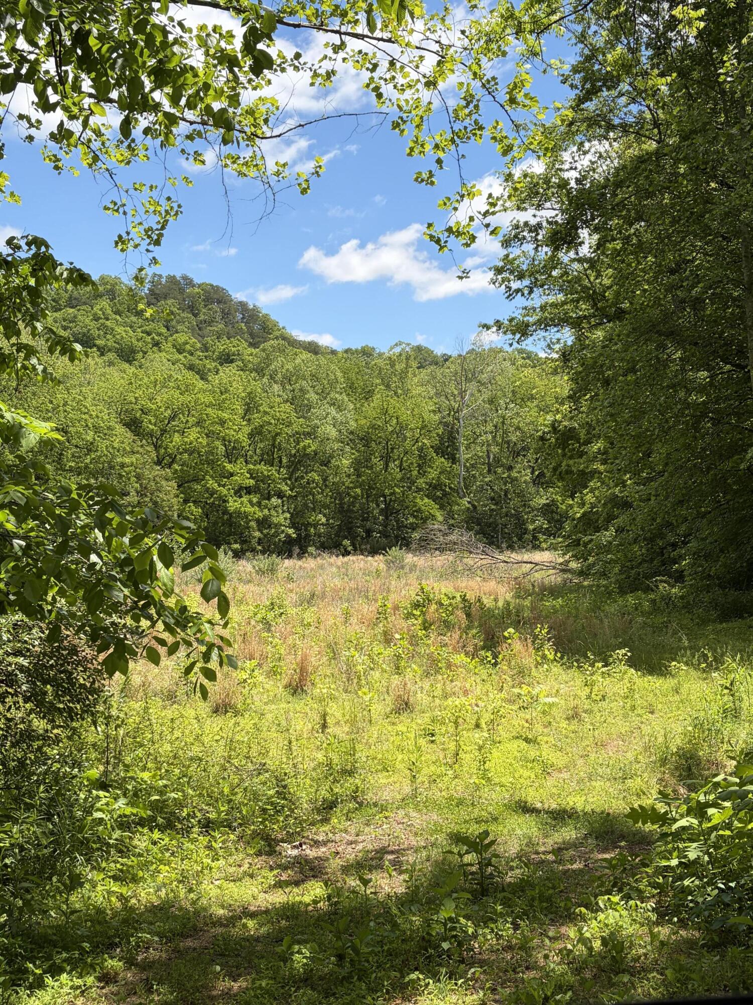 4570 Pointer Creek Road Property Photo 26