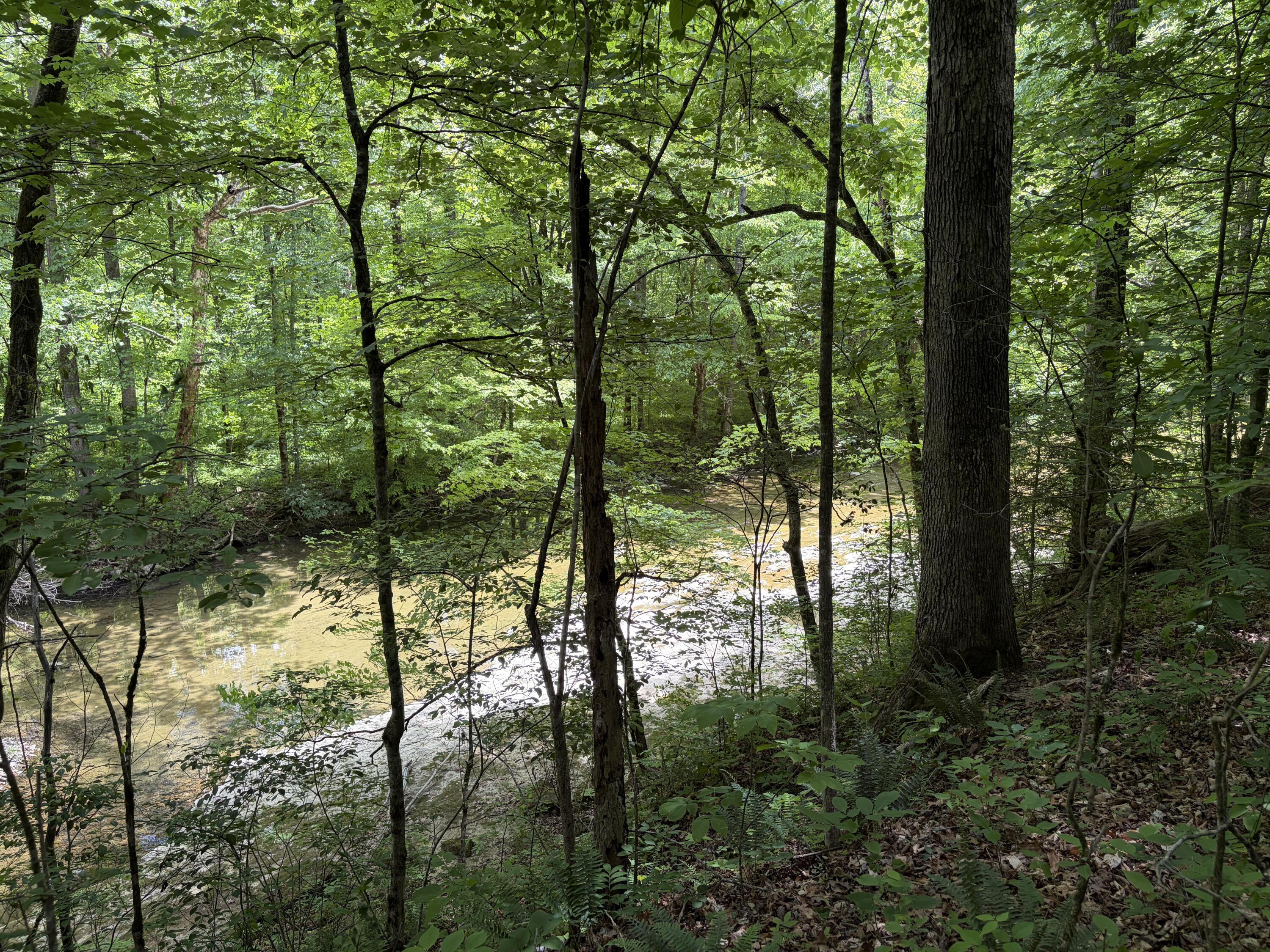 4570 Pointer Creek Road Property Photo 30