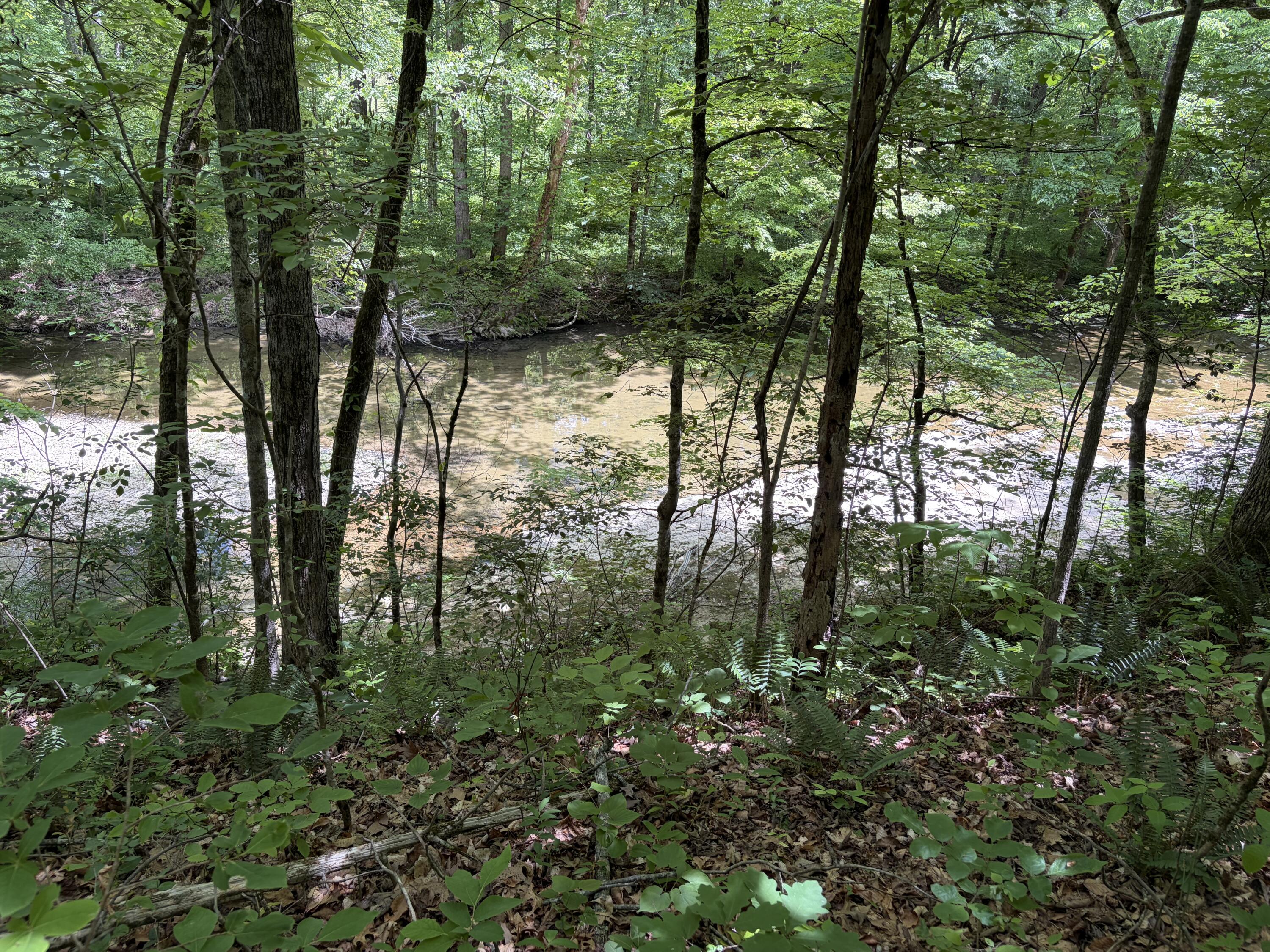4570 Pointer Creek Road Property Photo 31