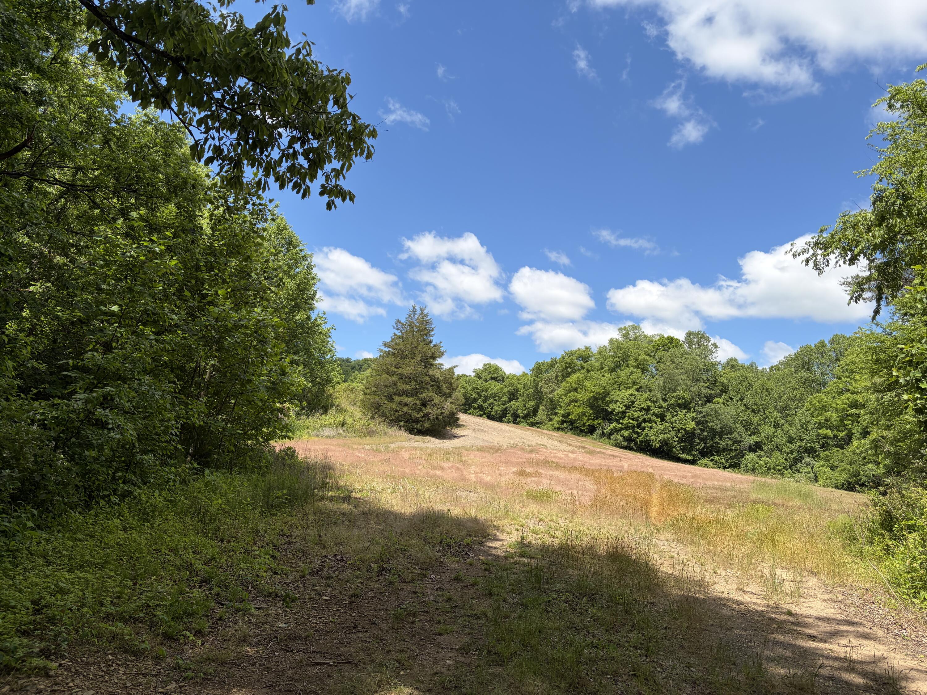 4570 Pointer Creek Road Property Photo 32
