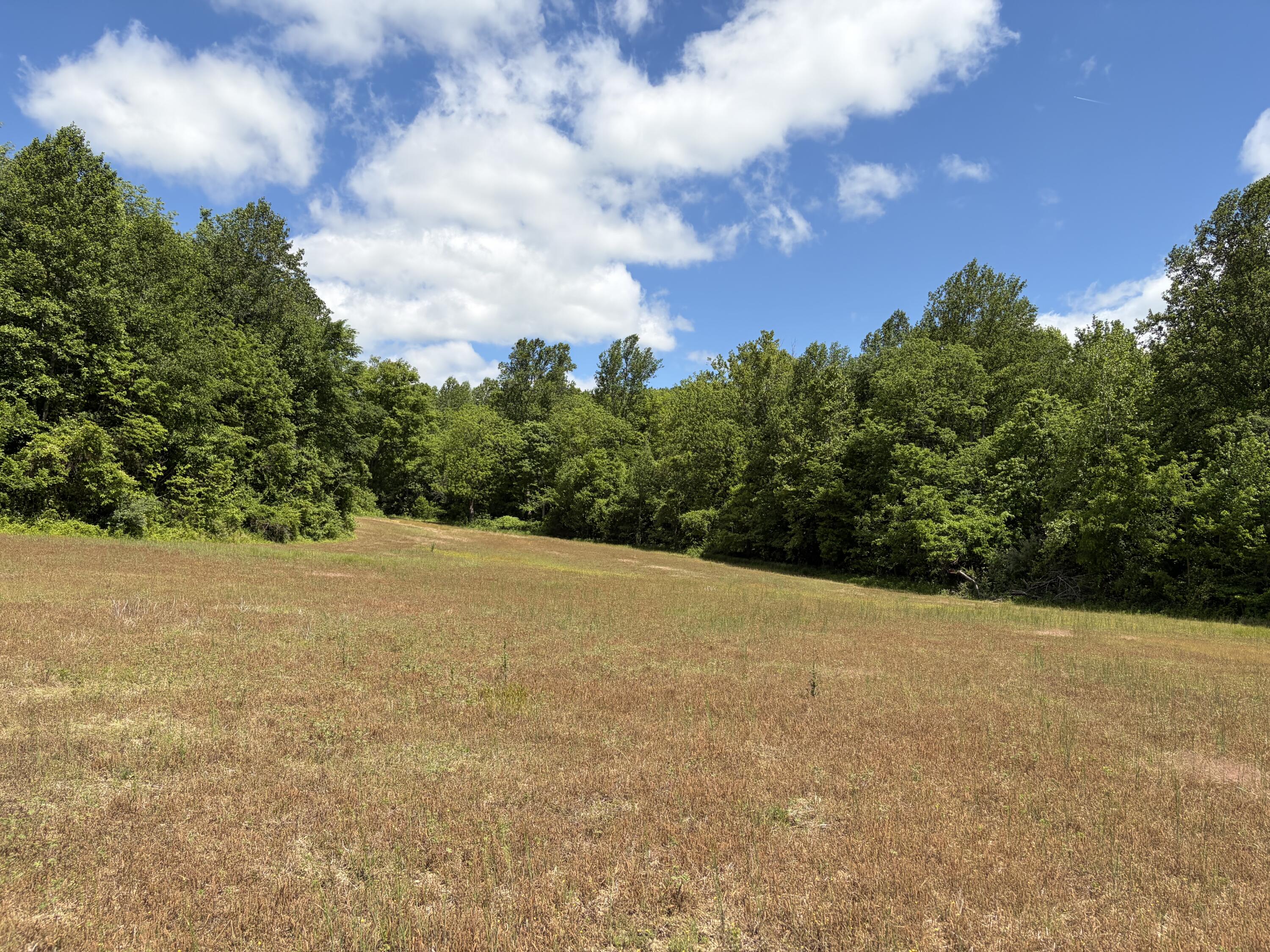 4570 Pointer Creek Road Property Photo 33