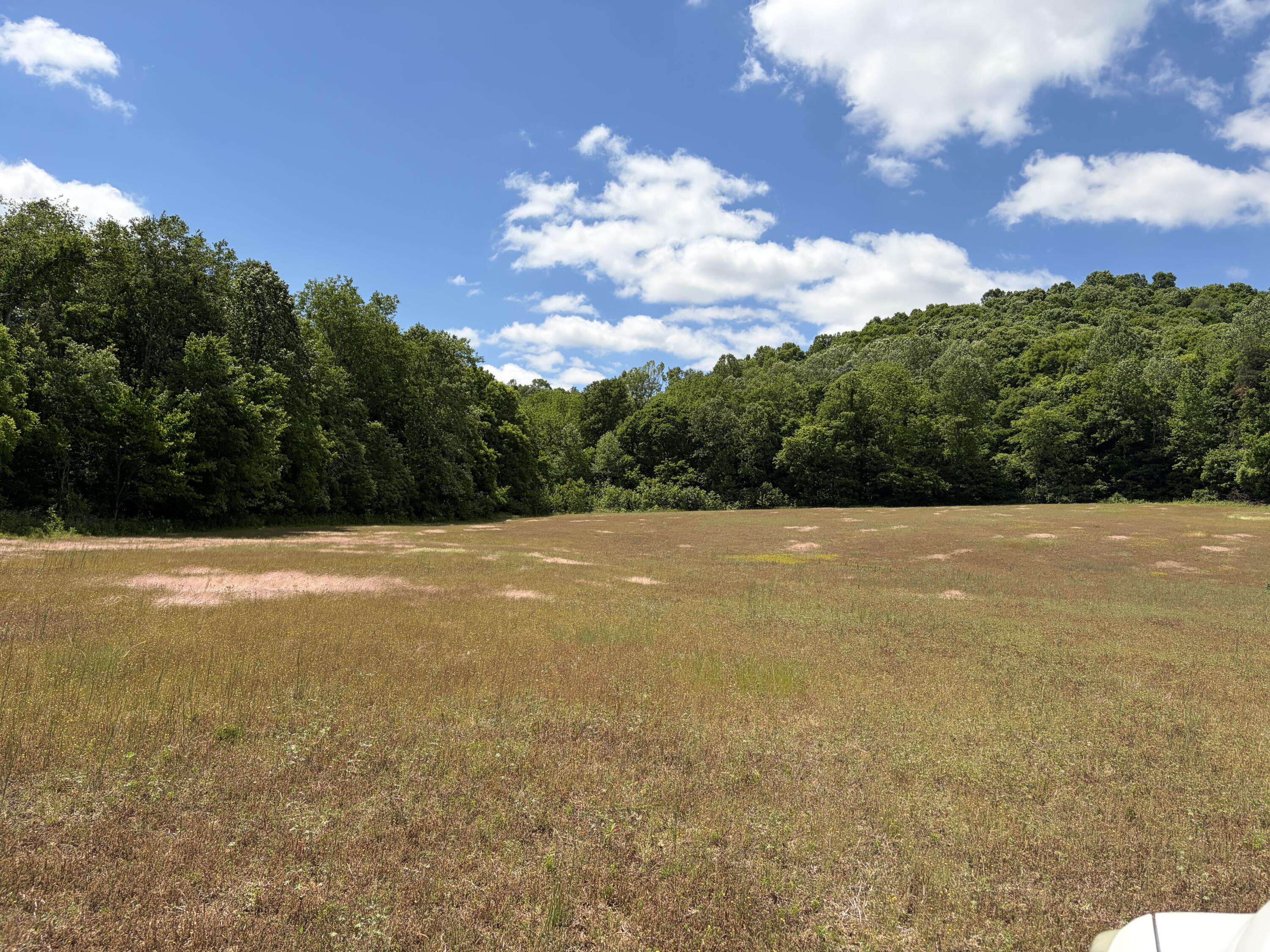 4570 Pointer Creek Road Property Photo 34