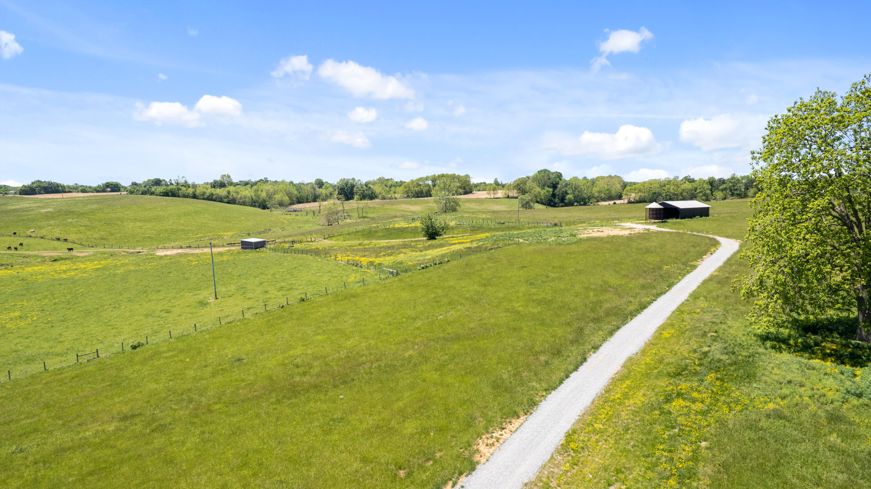 0 Mount Carmel Road Property Photo 12