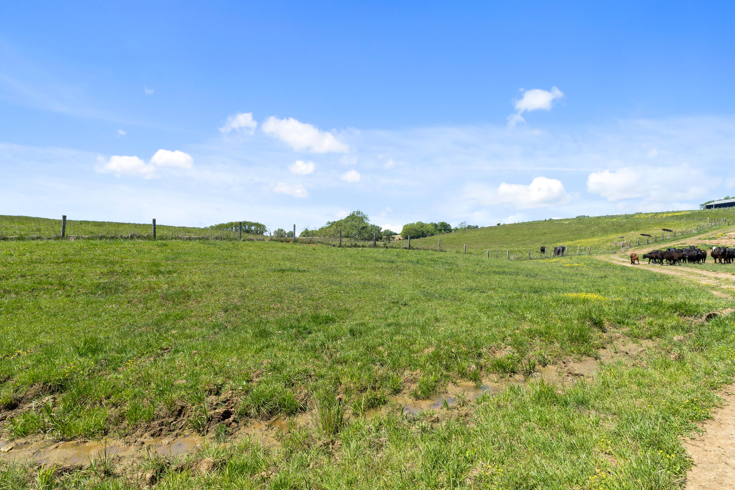 0 Mount Carmel Road Property Photo 31