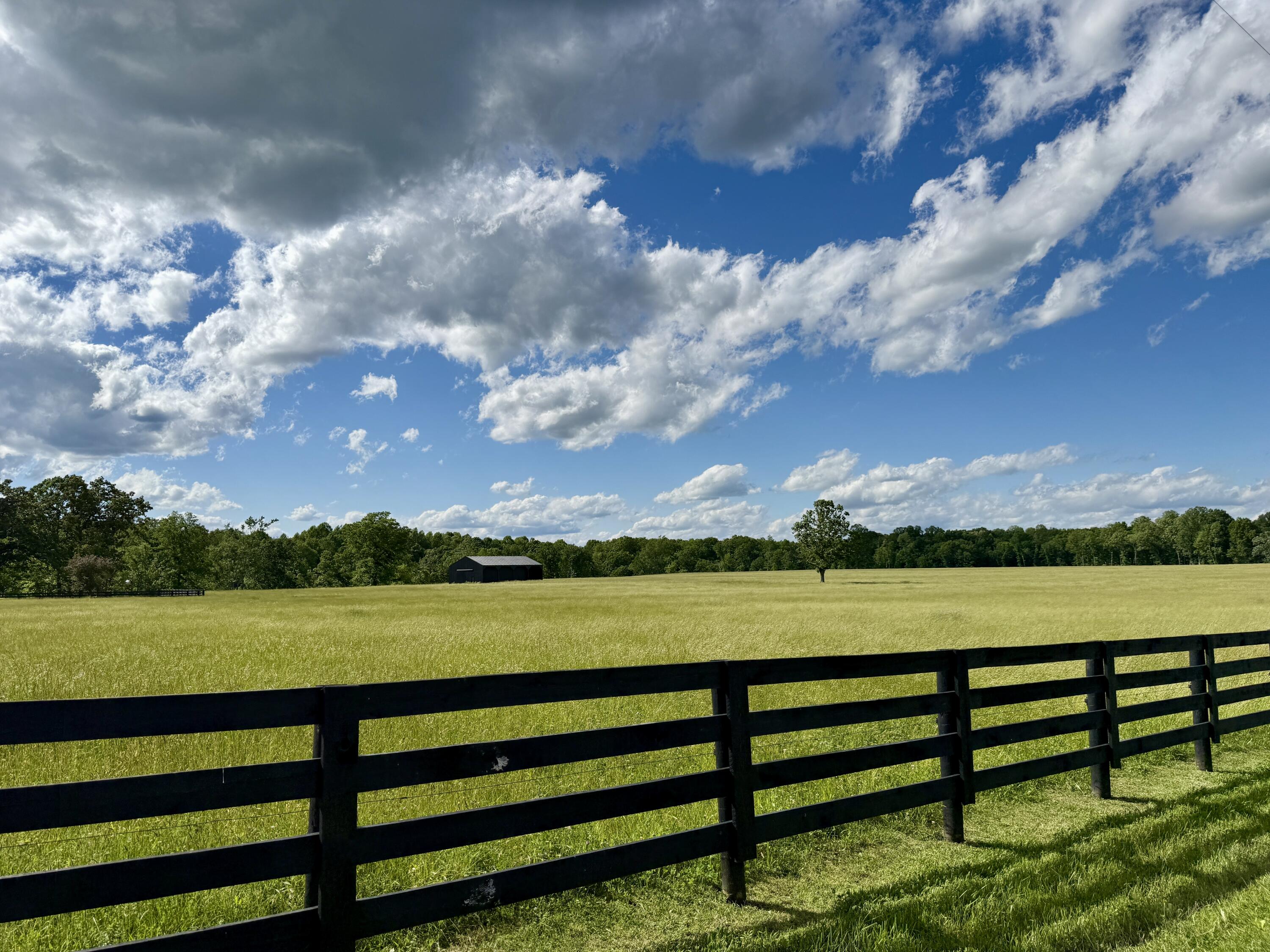 39 Acres Flatwoods Road Property Photo 4