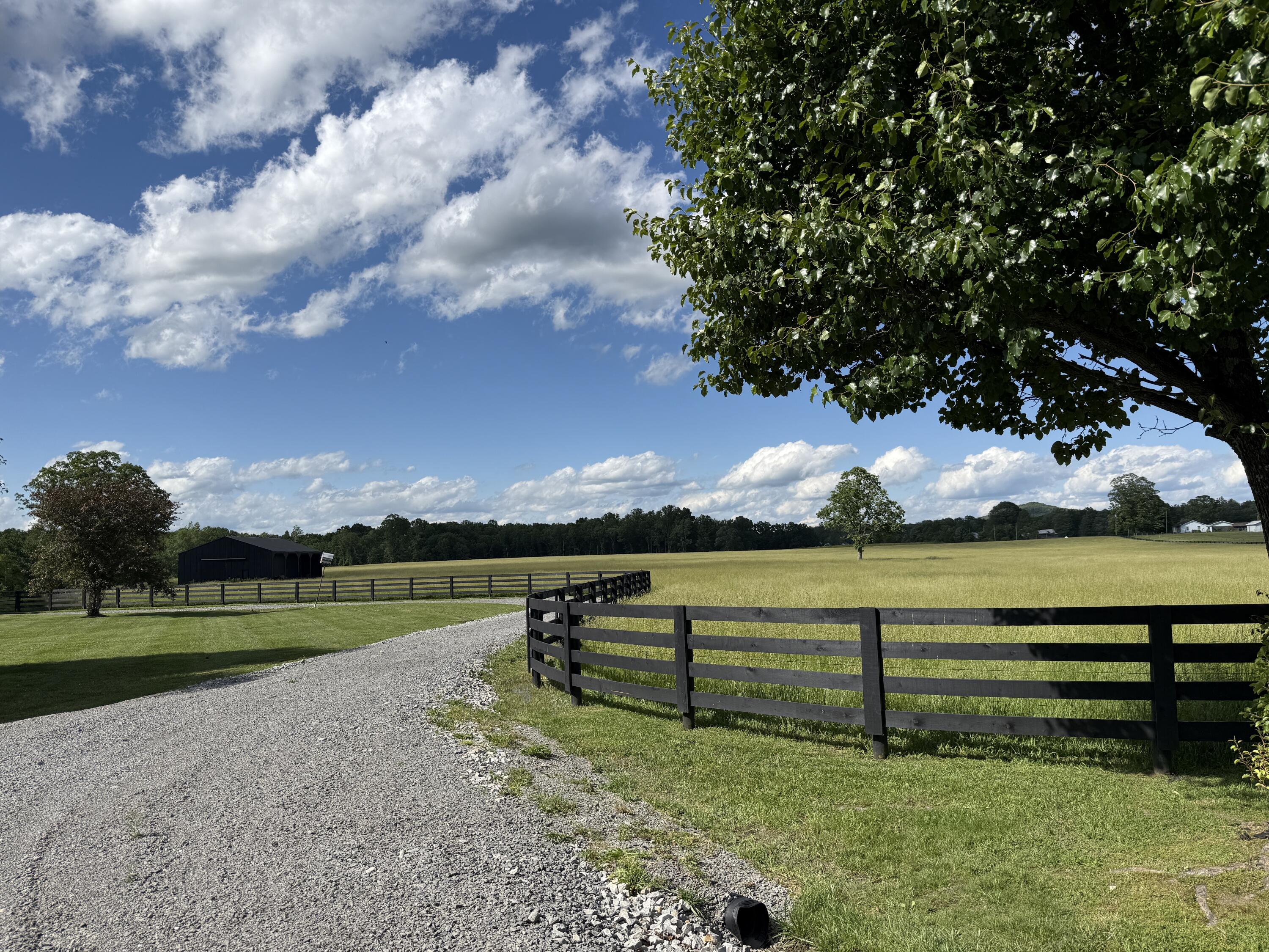 39 Acres Flatwoods Road Property Photo 9