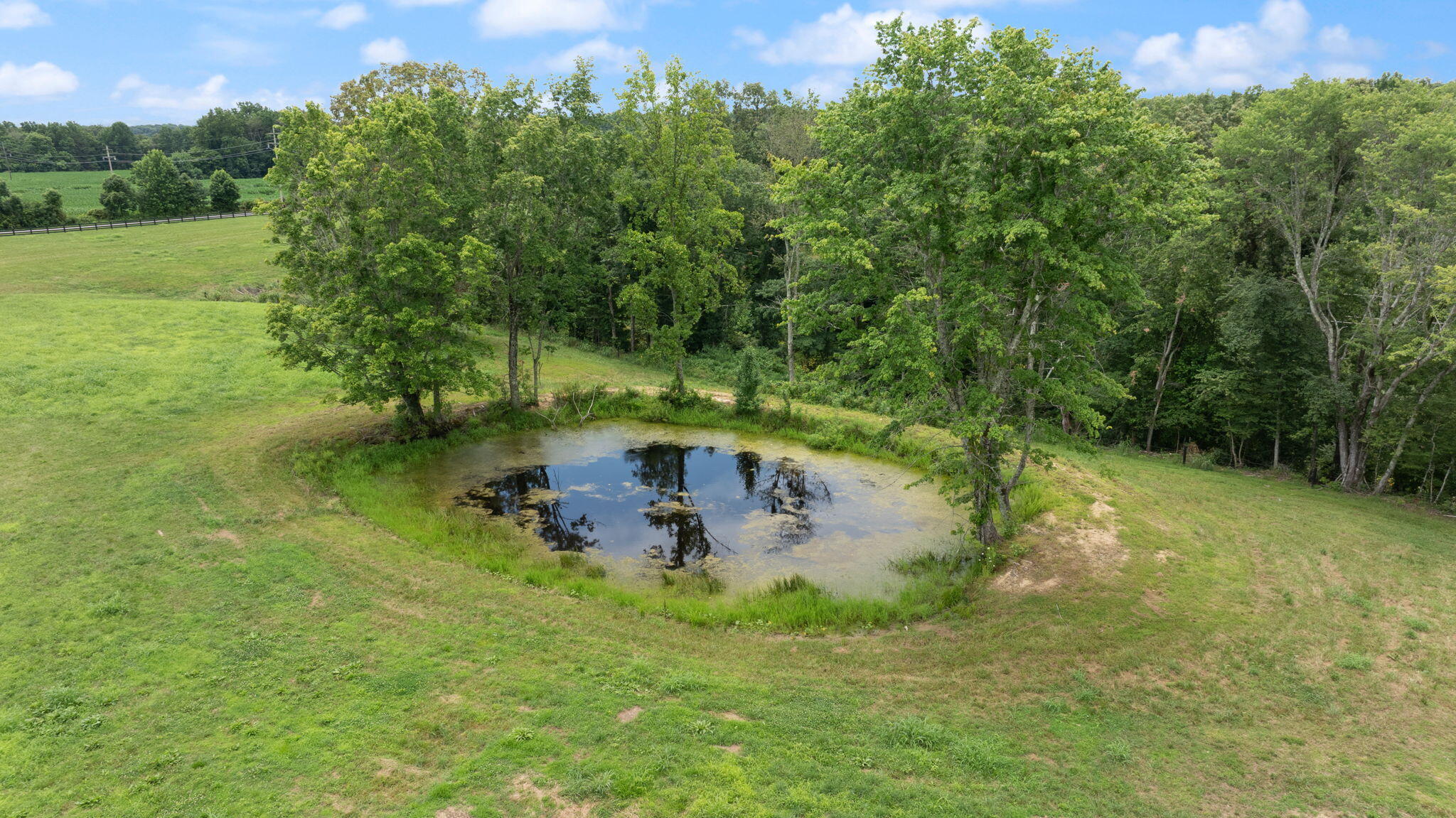 6 Acres Flatwoods Road Property Photo 3