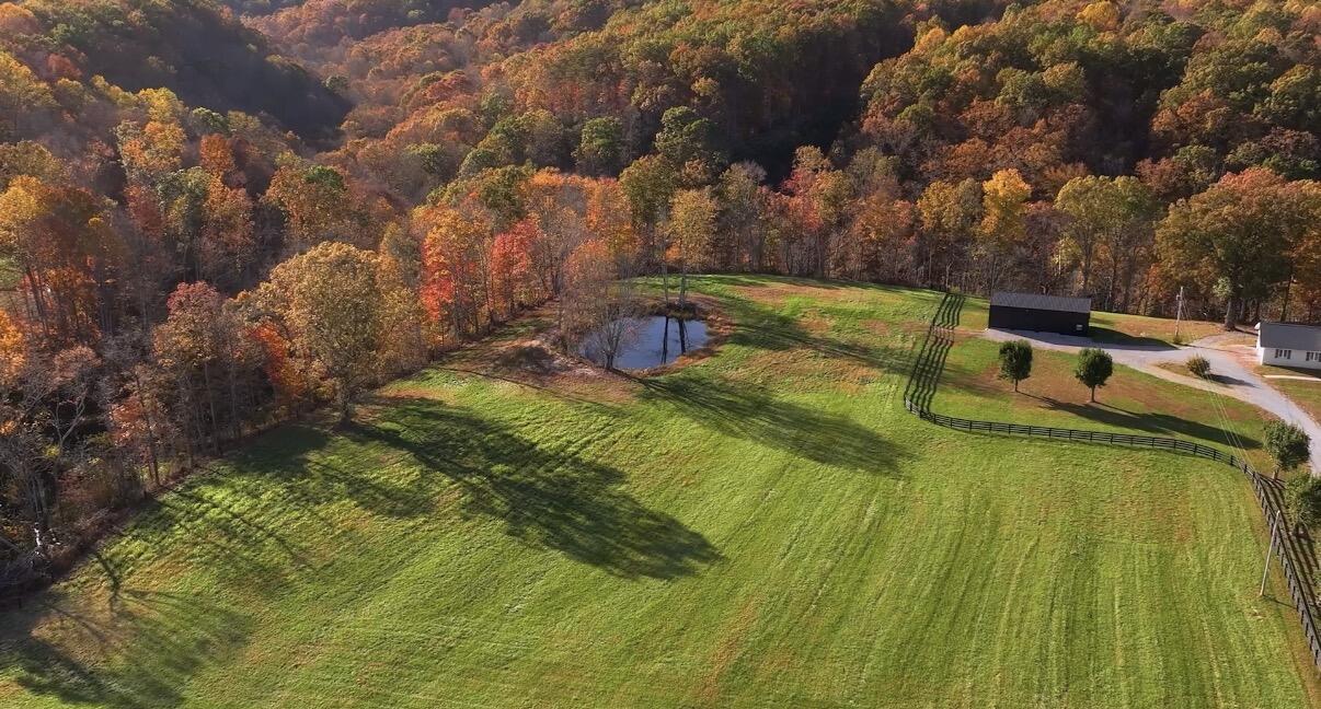 6 Acres Flatwoods Road Property Photo 6