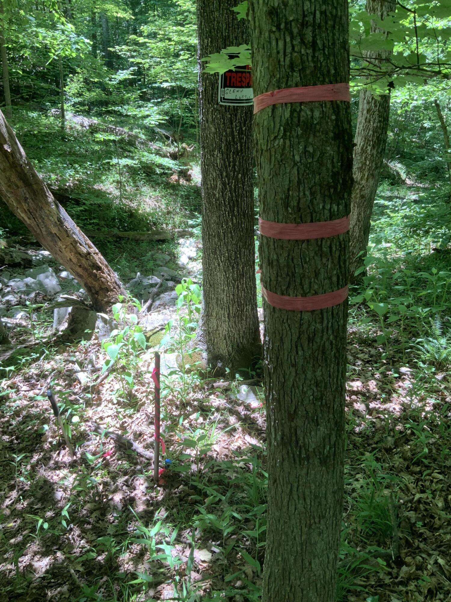 4100 Omega Park Road Property Photo 10