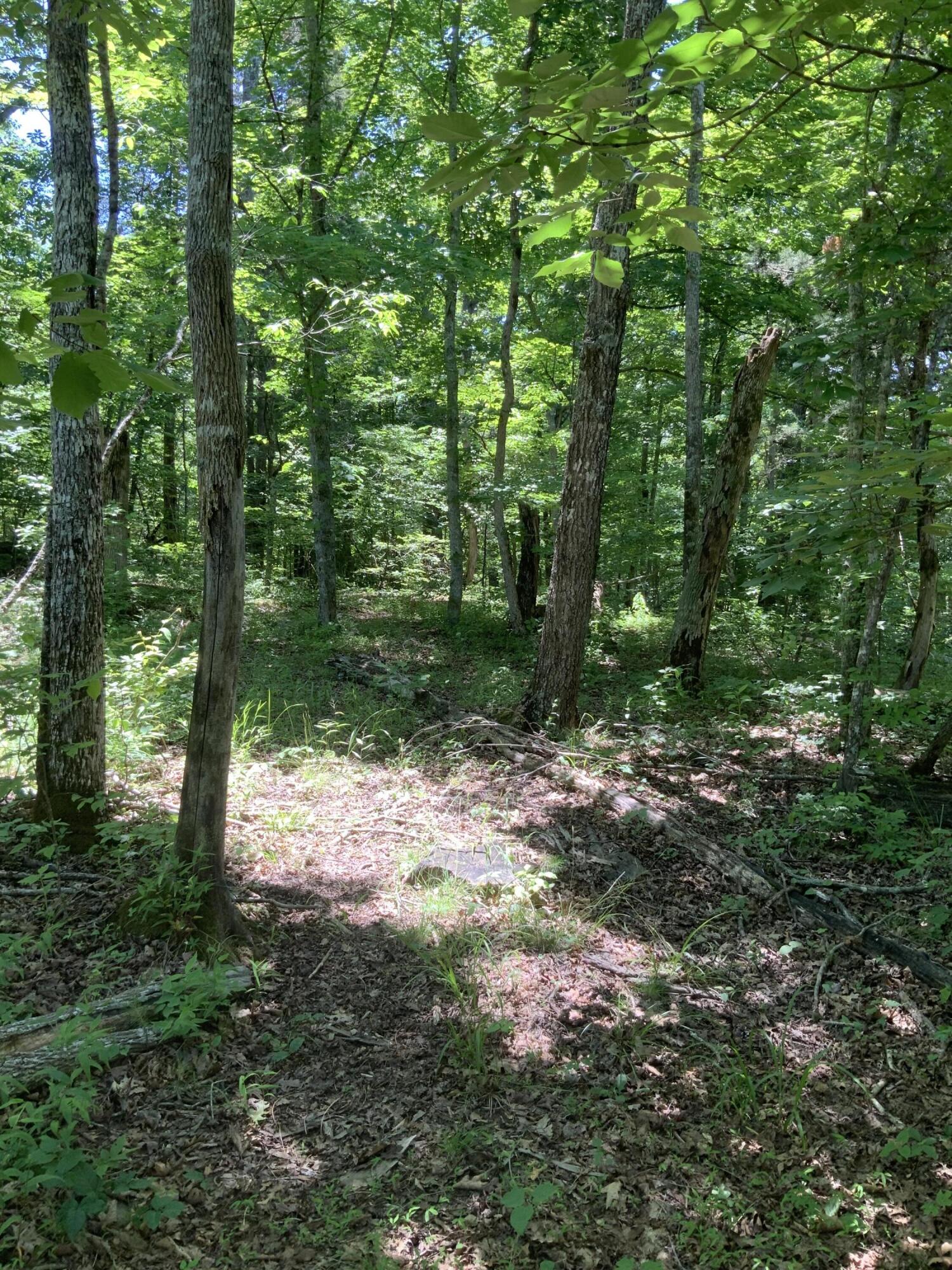 4100 Omega Park Road Property Photo 15