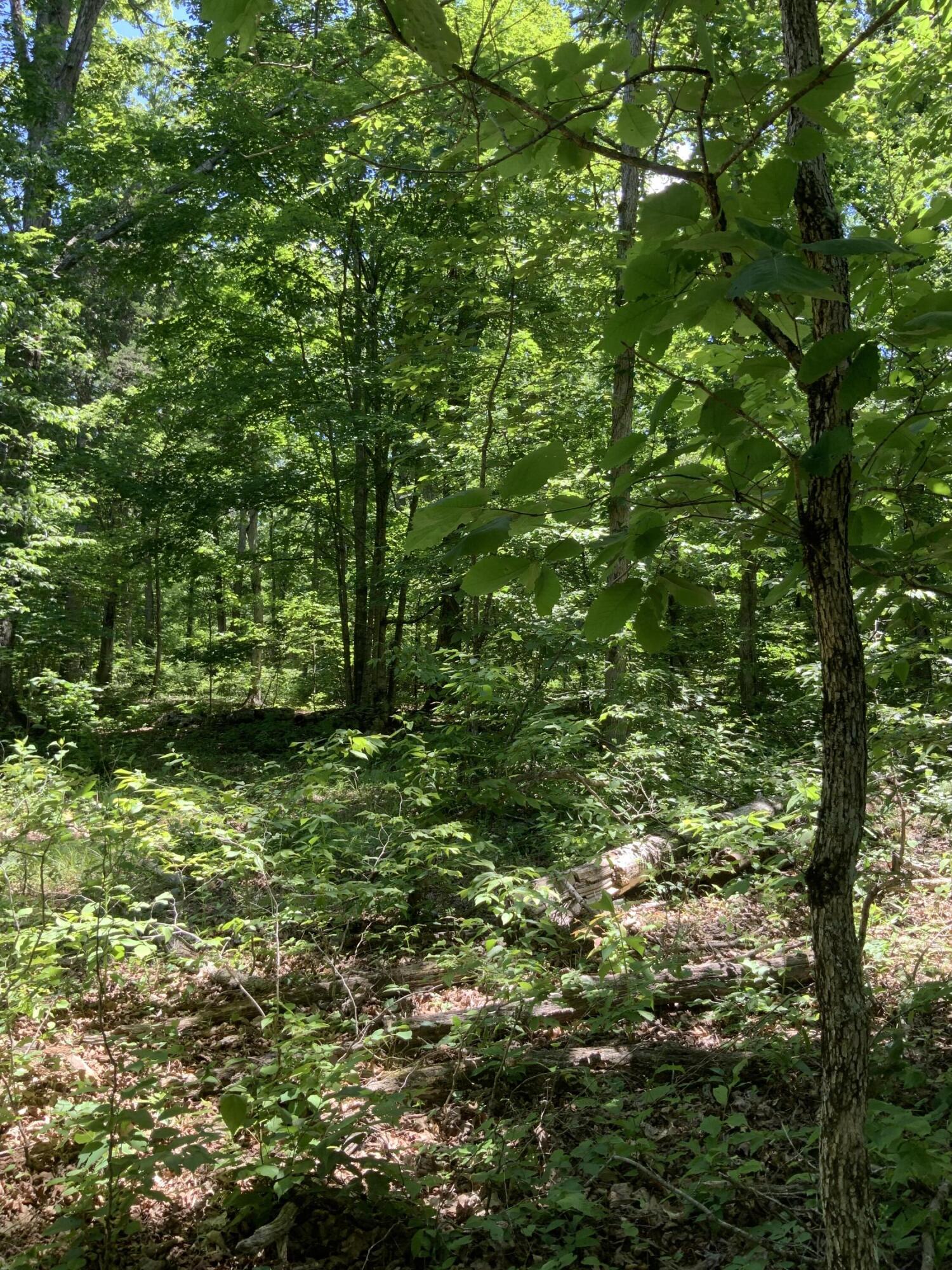 4100 Omega Park Road Property Photo 17