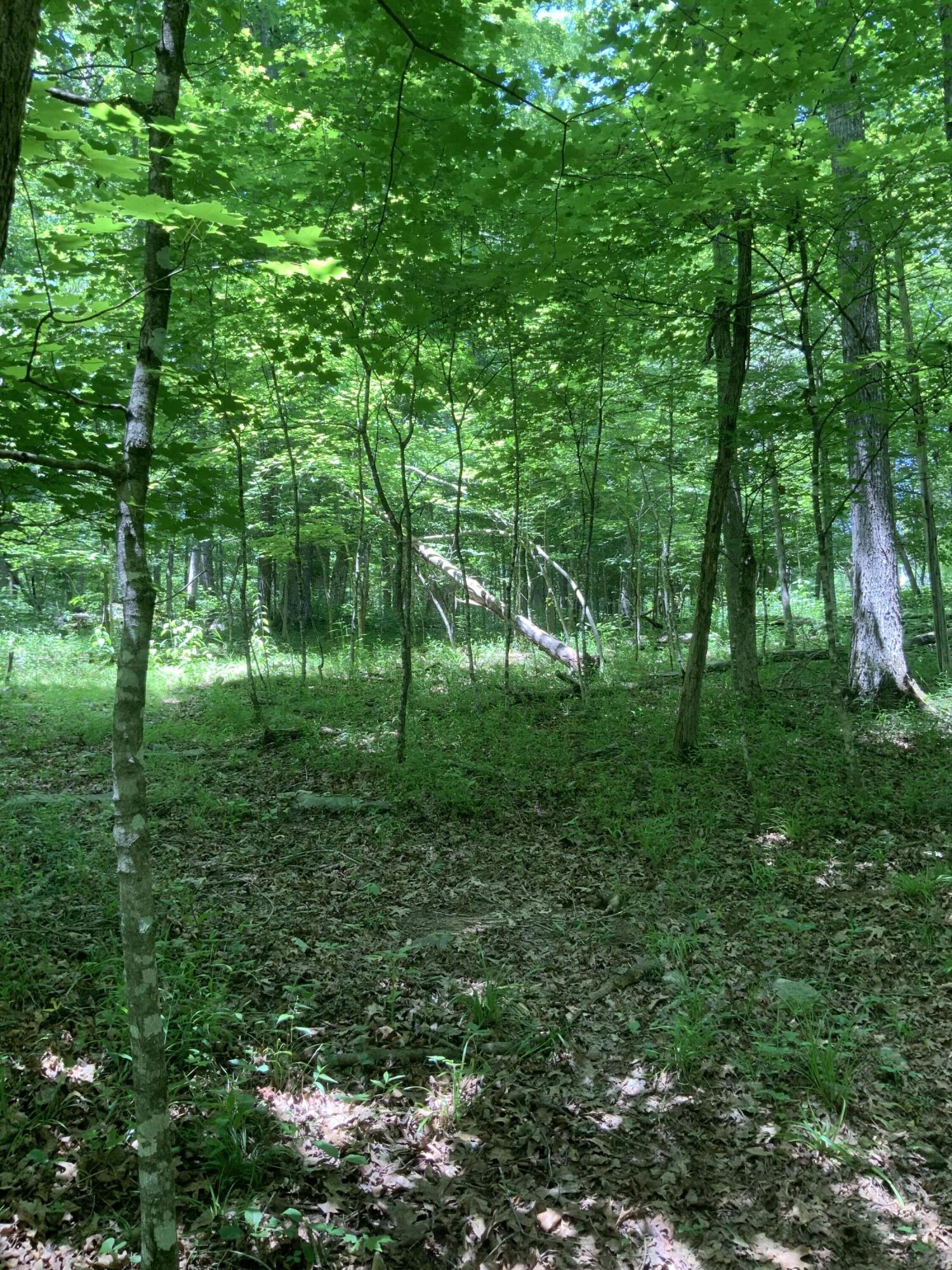4100 Omega Park Road Property Photo 19