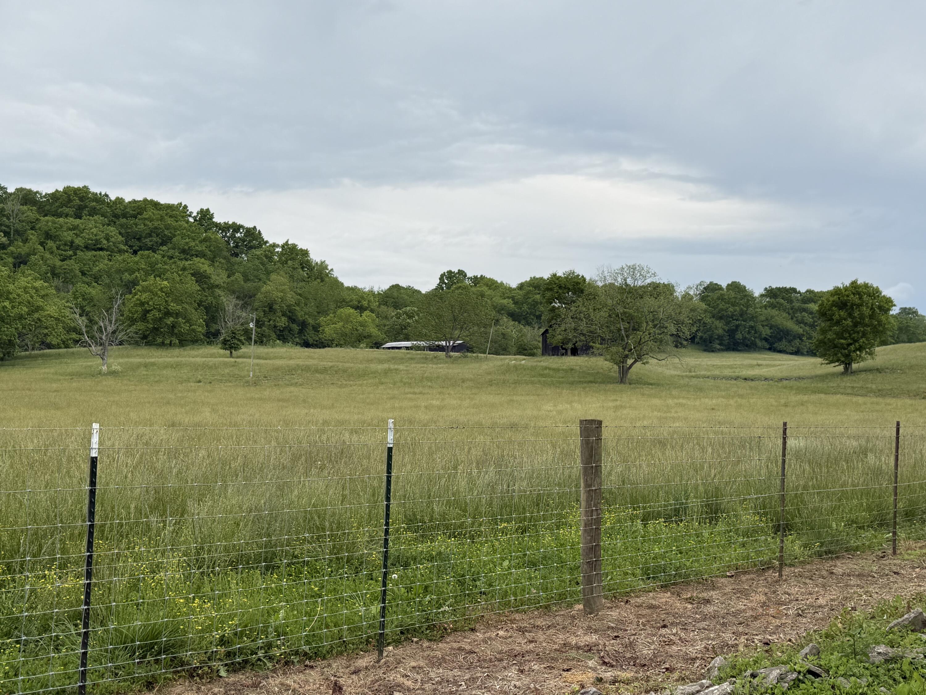 1490 Mule Shed Lane Property Photo 4