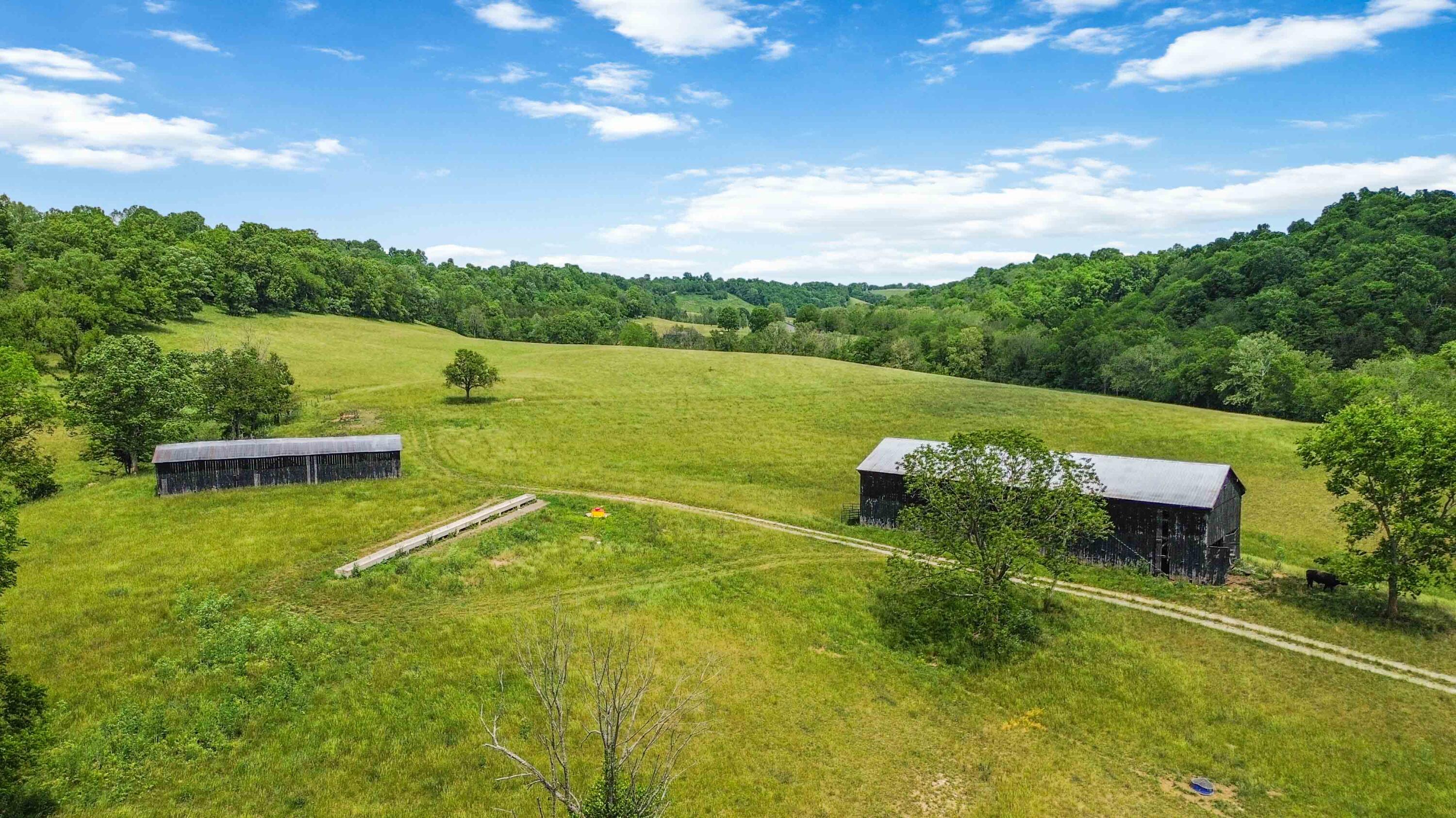 1490 Mule Shed Lane Property Photo 10