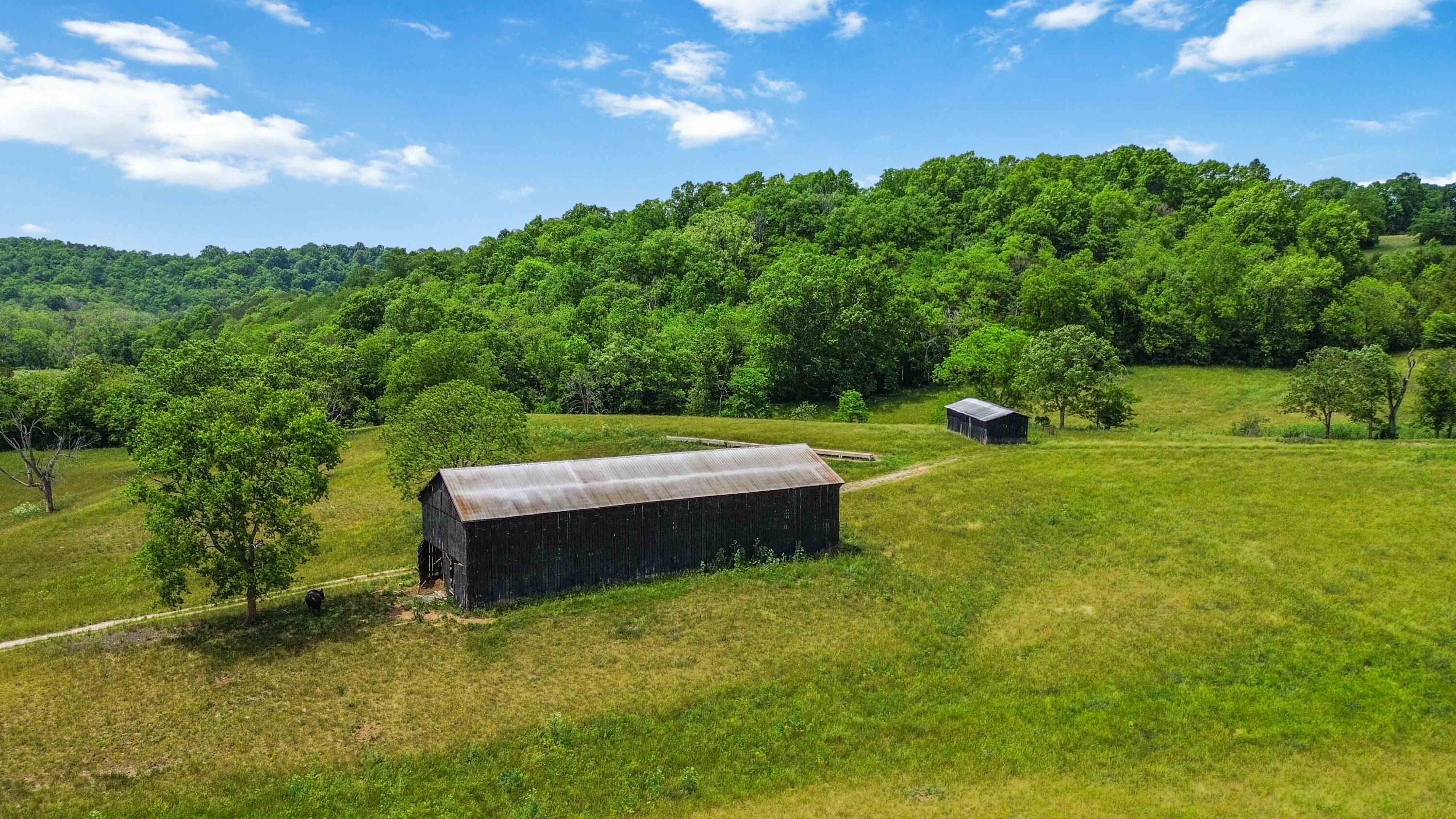 1490 Mule Shed Lane Property Photo 11