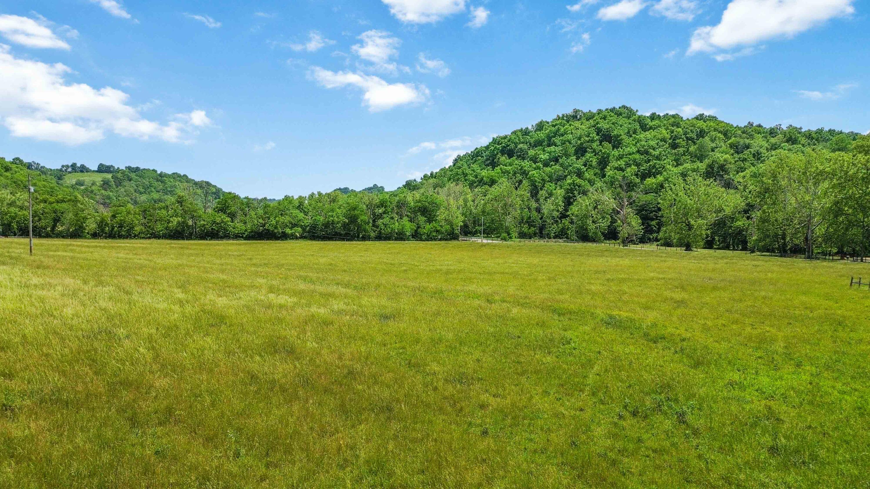 1490 Mule Shed Lane Property Photo 14
