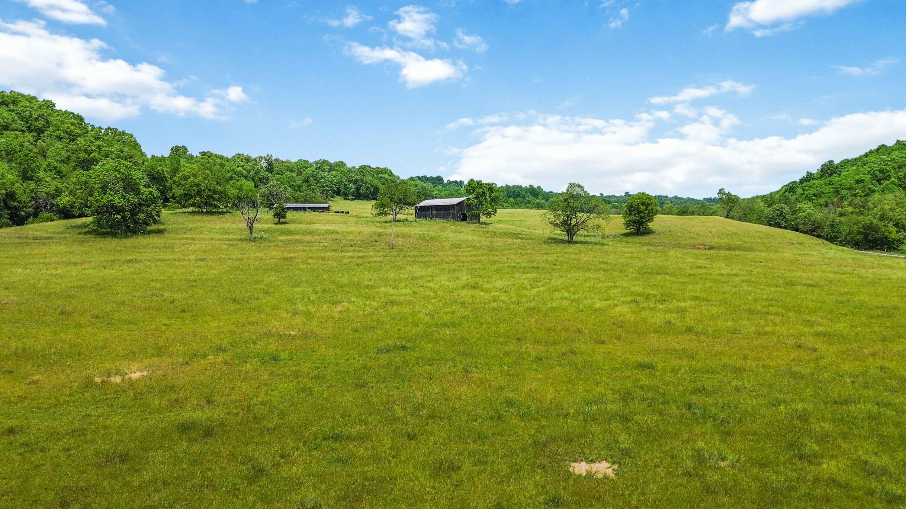 1490 Mule Shed Lane Property Photo 15