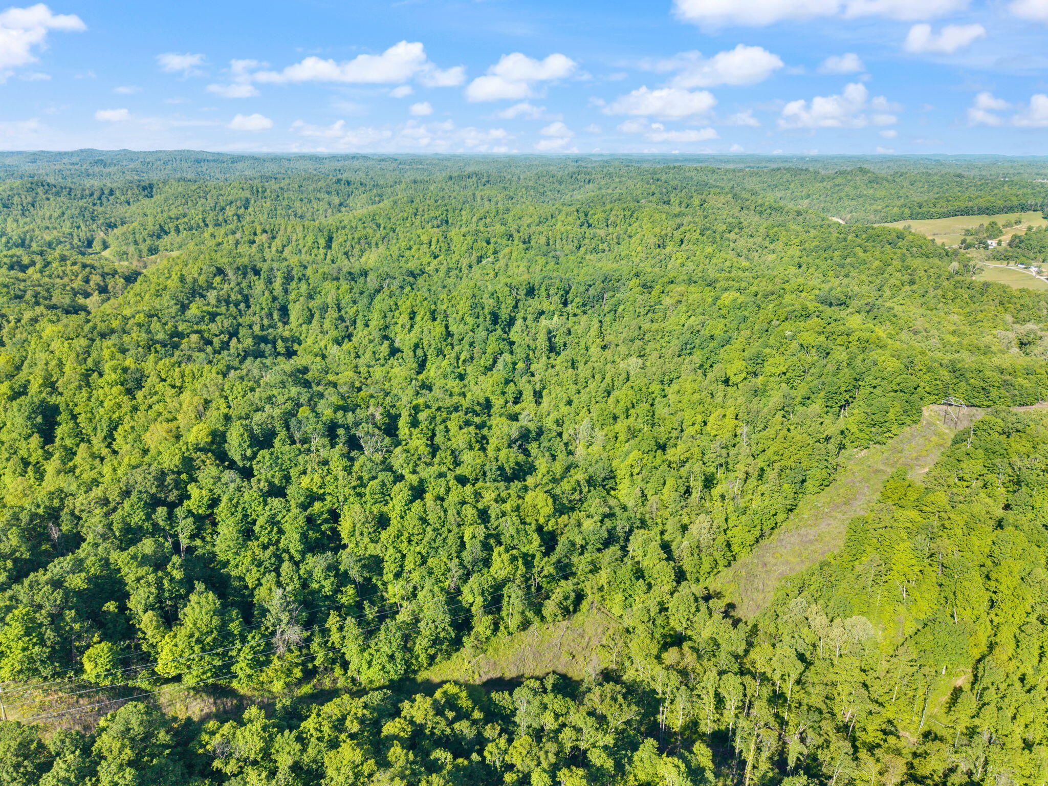 2881 Ky 755 Property Photo 12