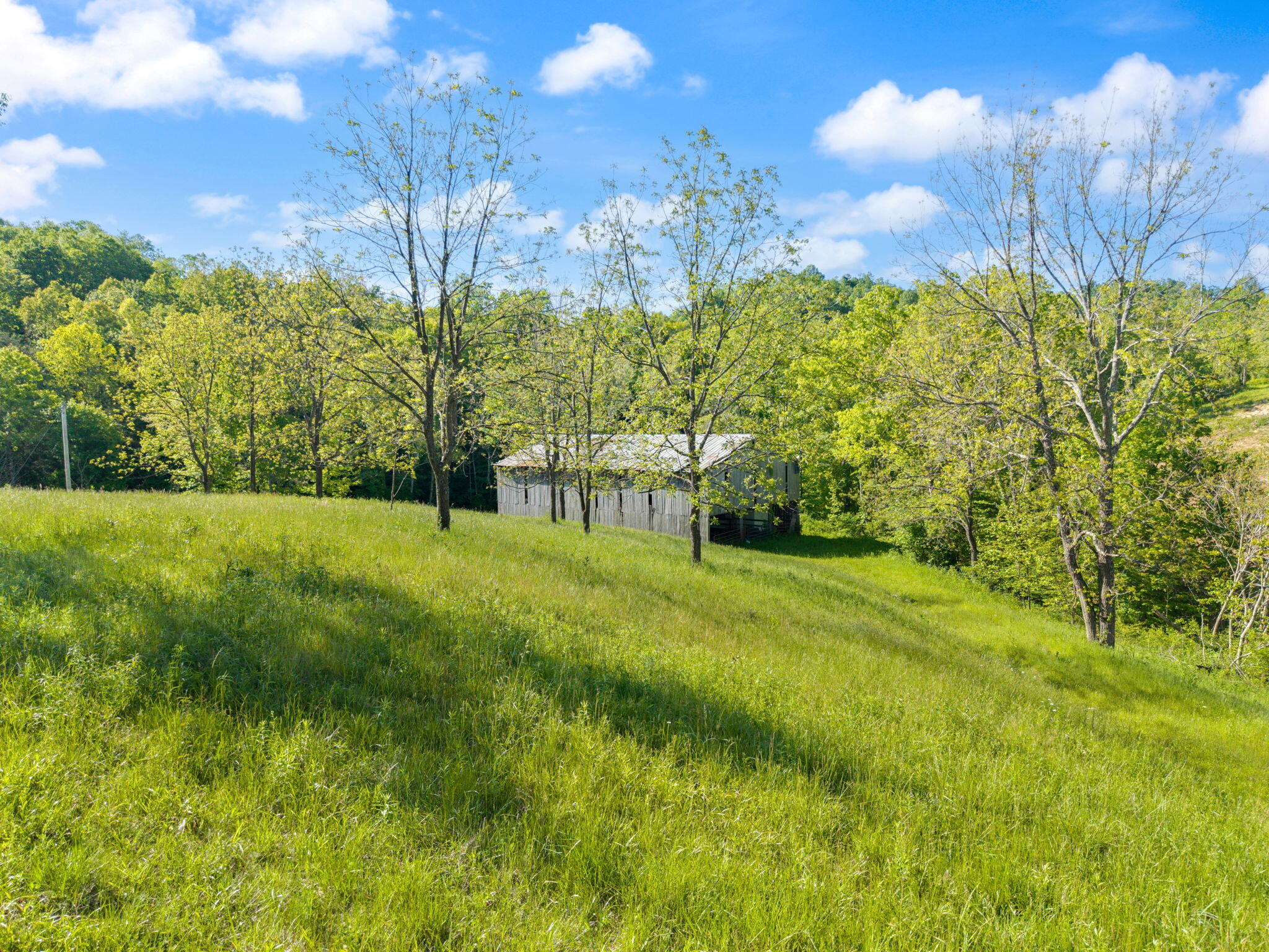 2881 Ky 755 Property Photo 21