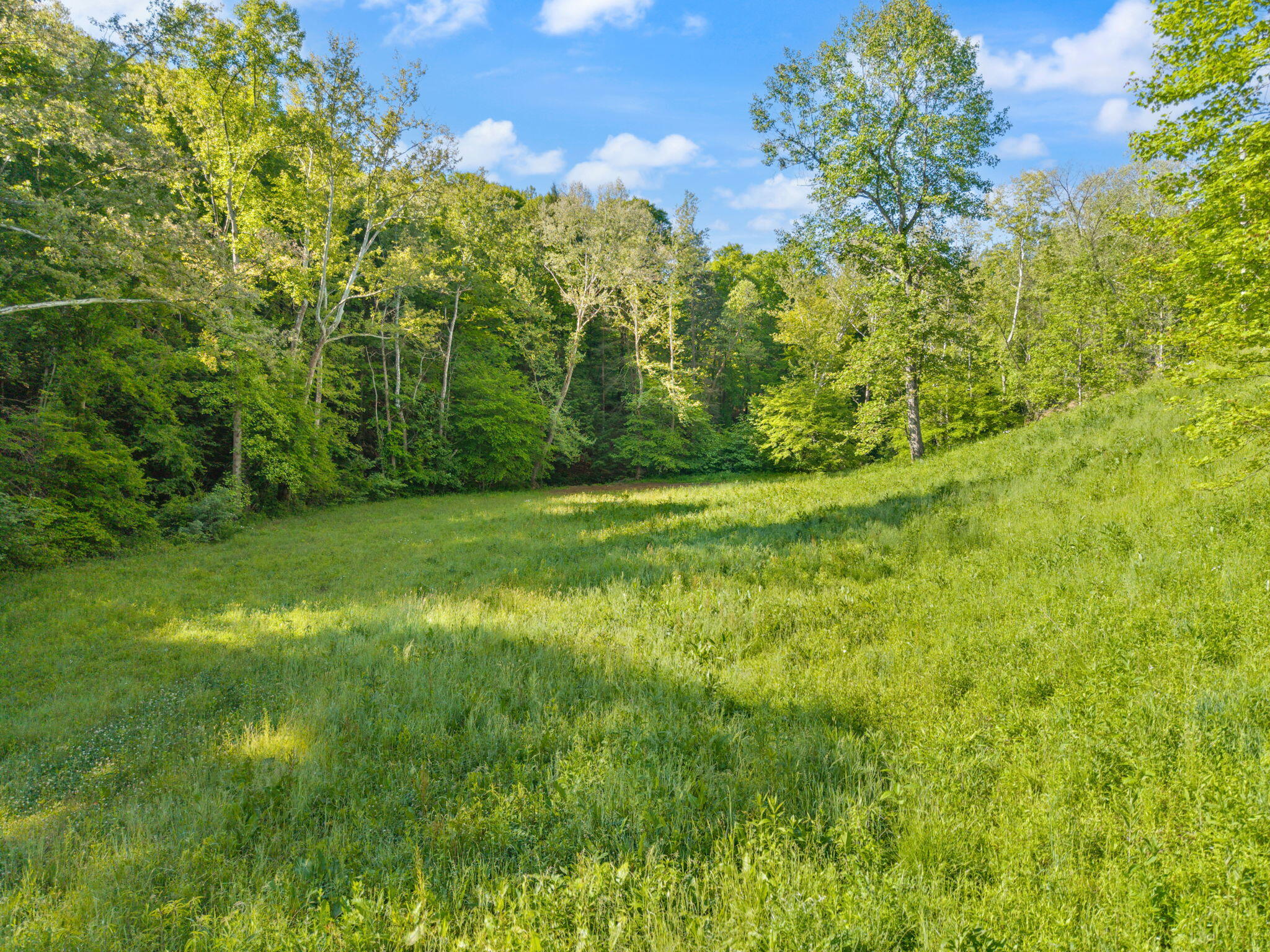 2881 Ky 755 Property Photo 23