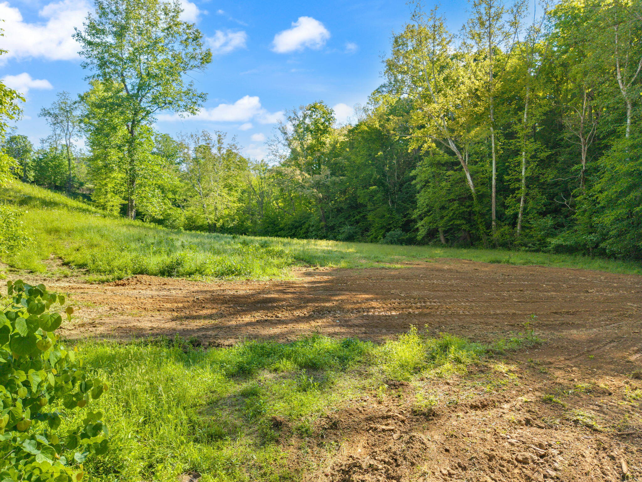 2881 Ky 755 Property Photo 25