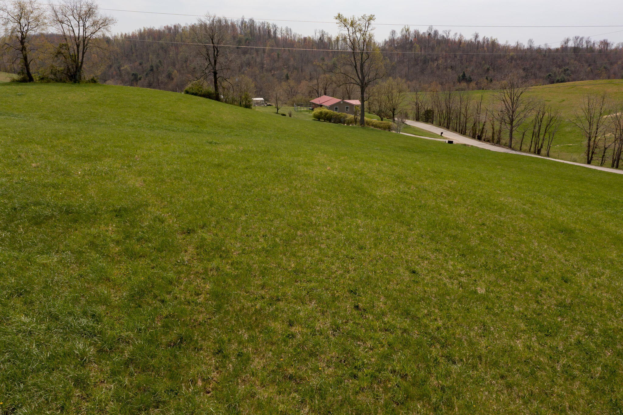 486 Old State Road Property Photo 44