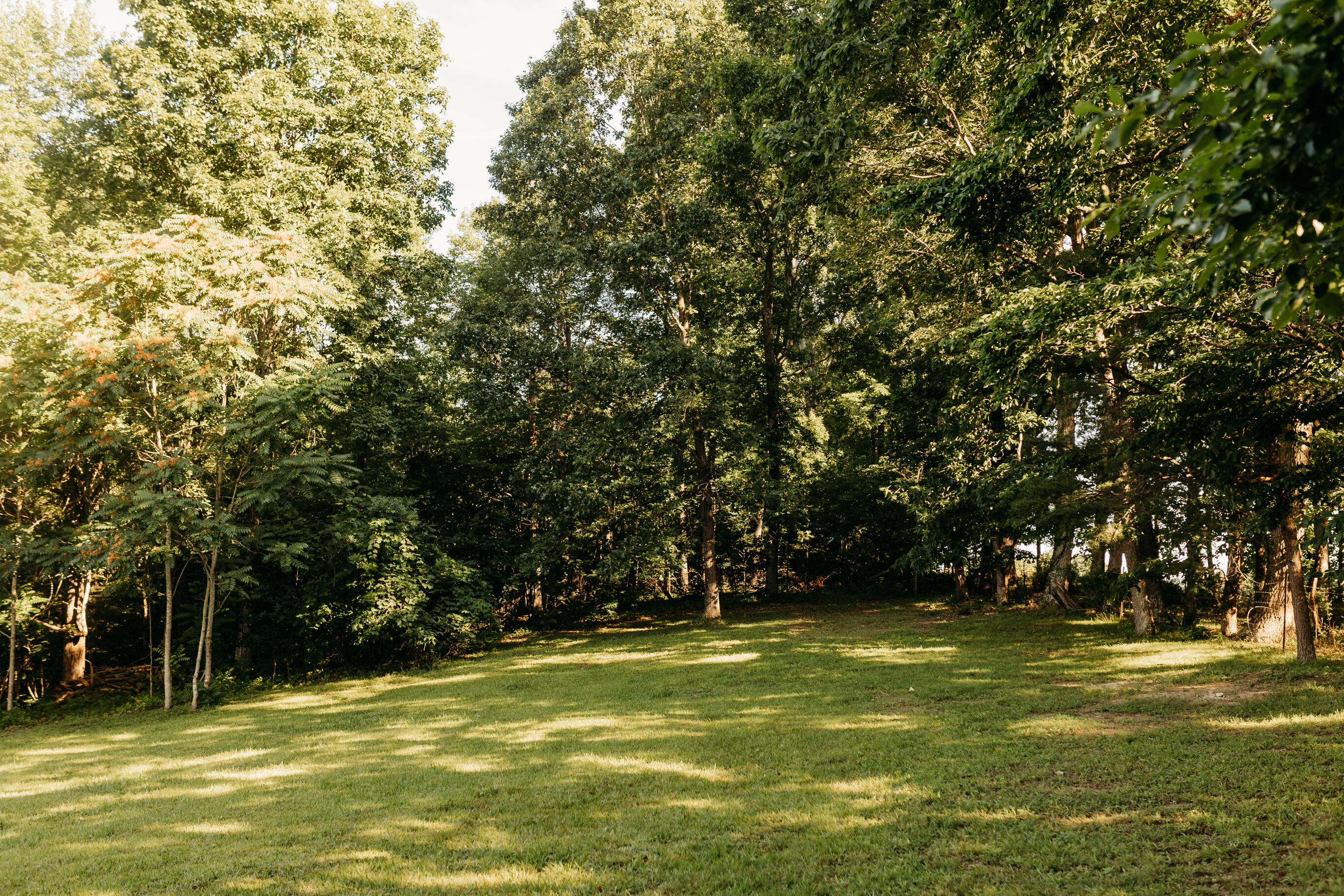 124 Ashley Ridge Road Property Photo 6