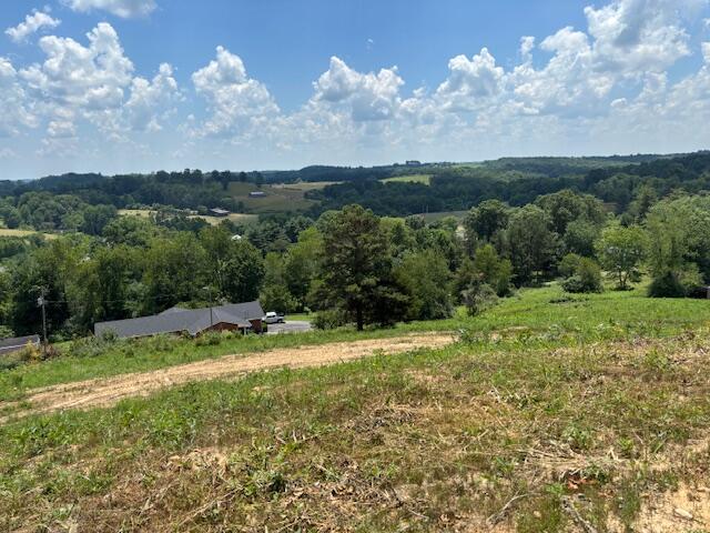 1677 Jackson County High School Road Property Photo 3