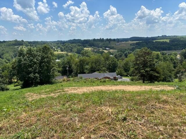 1677 Jackson County High School Road Property Photo 4