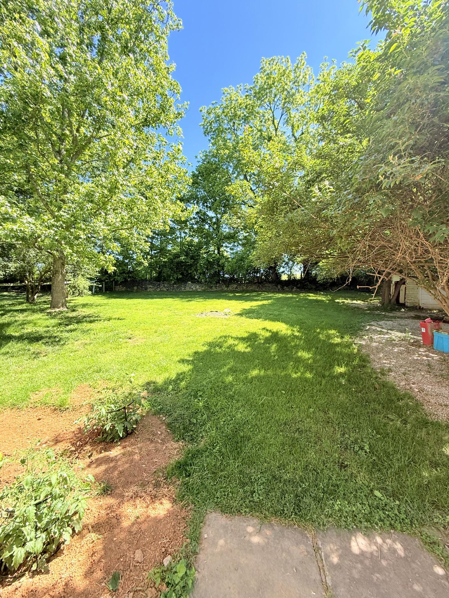3047 Cane Ridge Road Property Photo 3