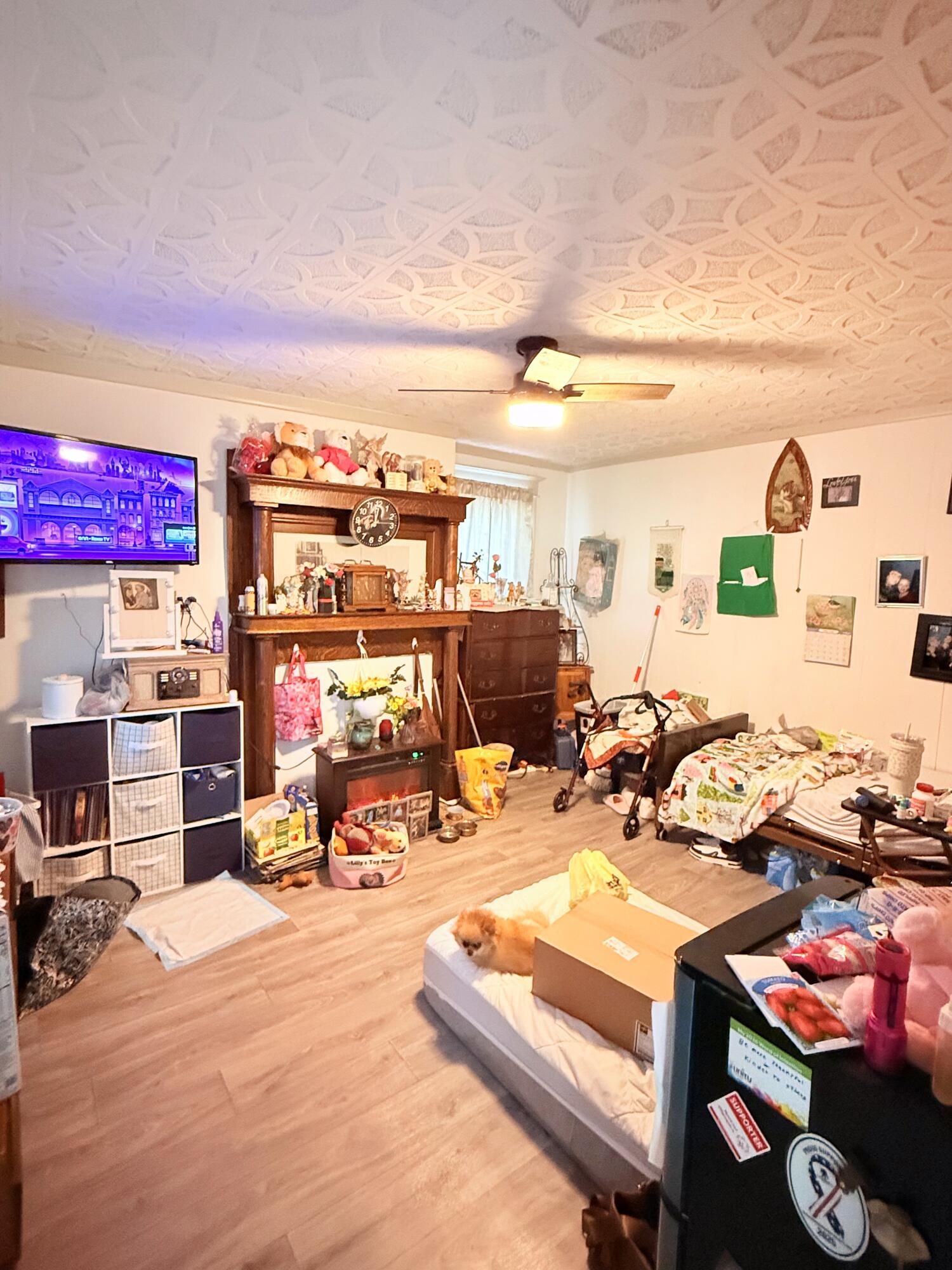 3047 Cane Ridge Road Property Photo 6