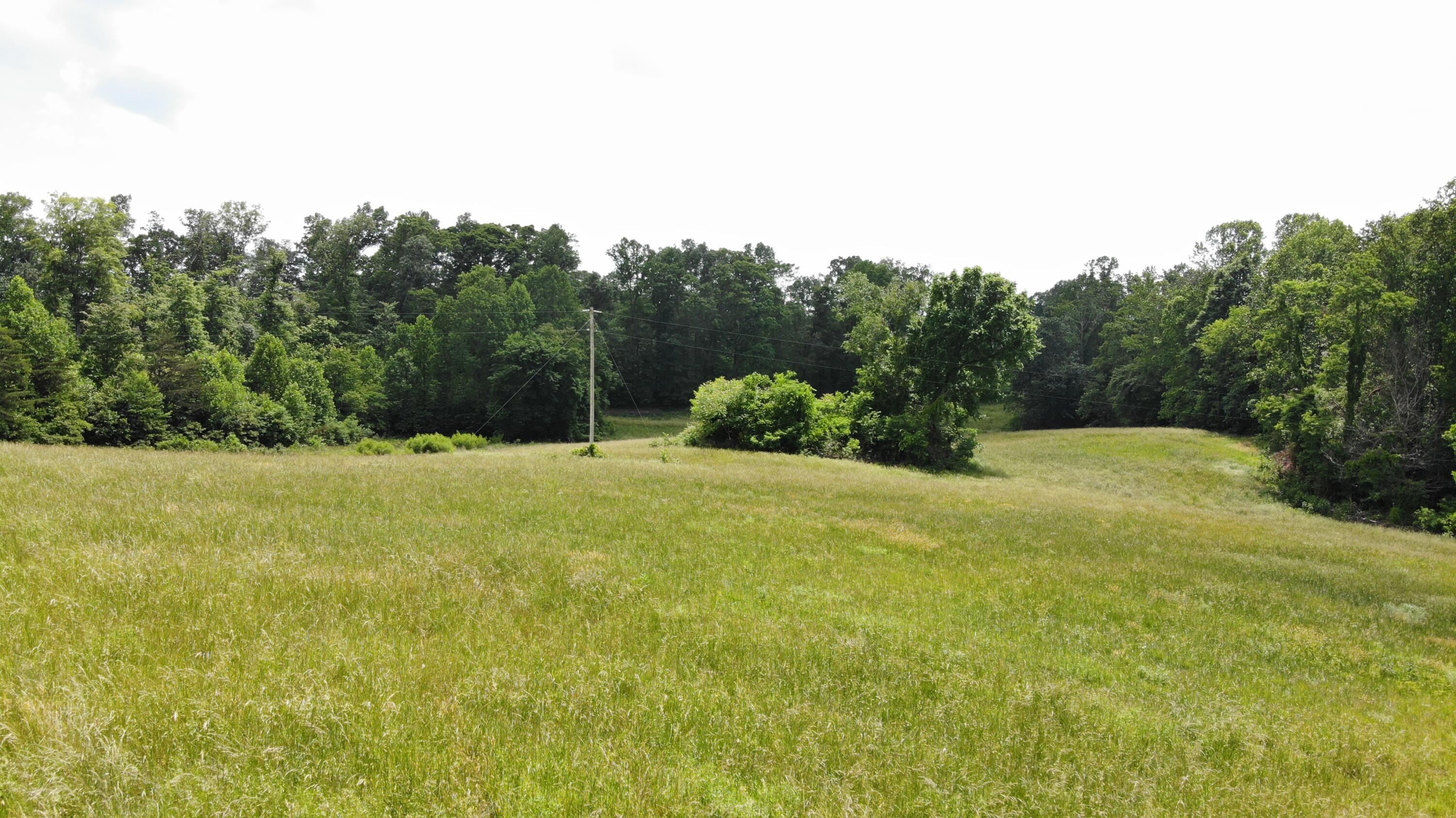 231 Polston Cemetery Road Property Photo 7