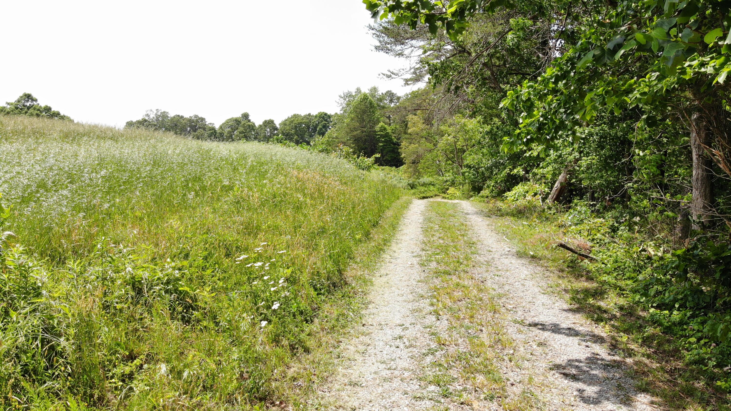 231 Polston Cemetery Road Property Photo 8