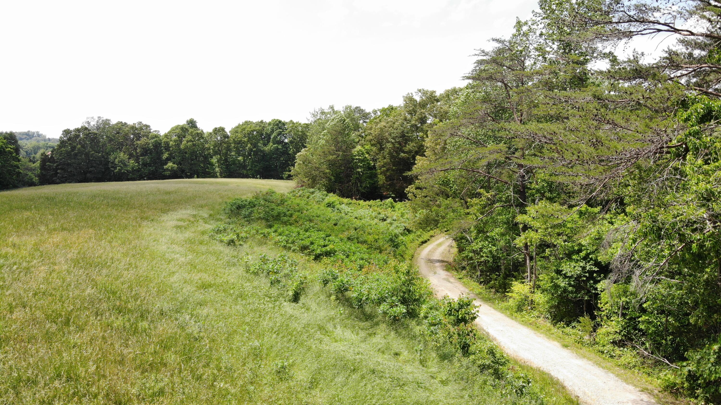 231 Polston Cemetery Road Property Photo 9