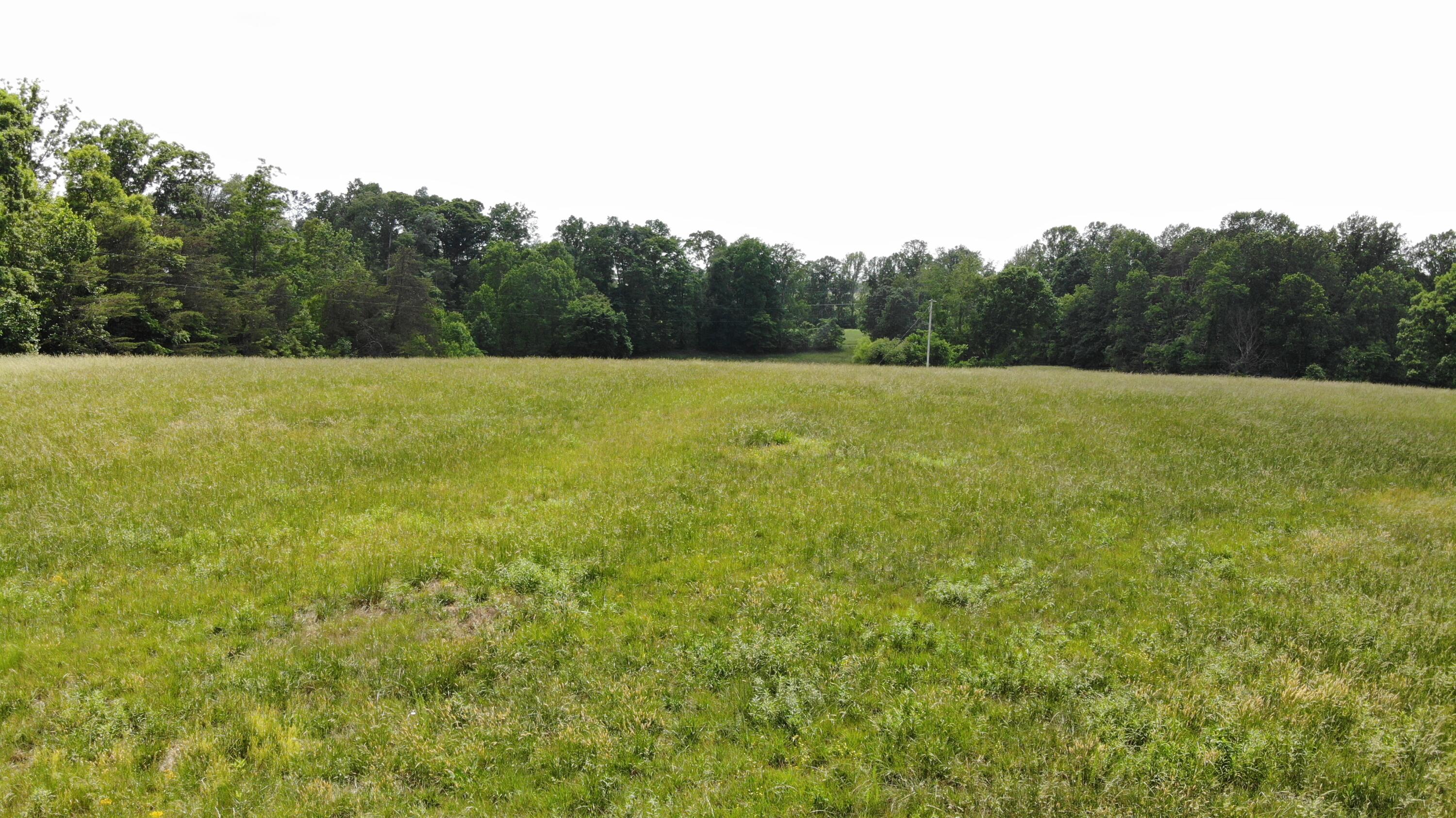 231 Polston Cemetery Road Property Photo 11