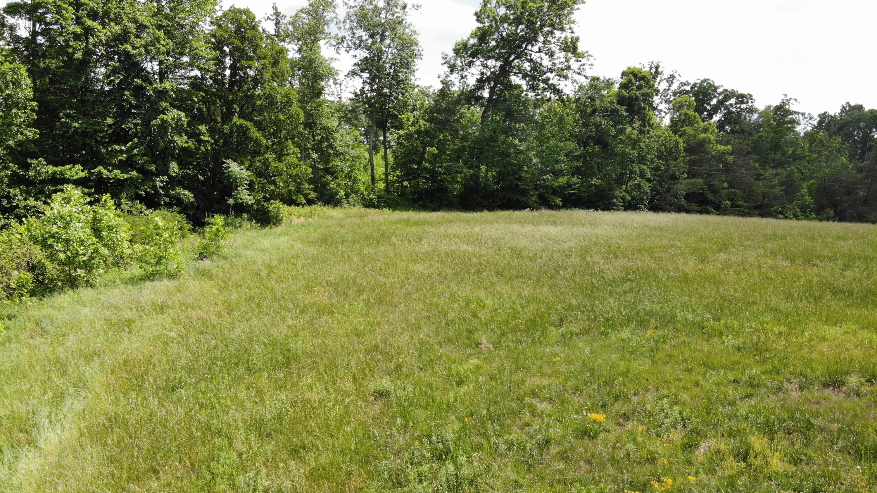 231 Polston Cemetery Road Property Photo 12