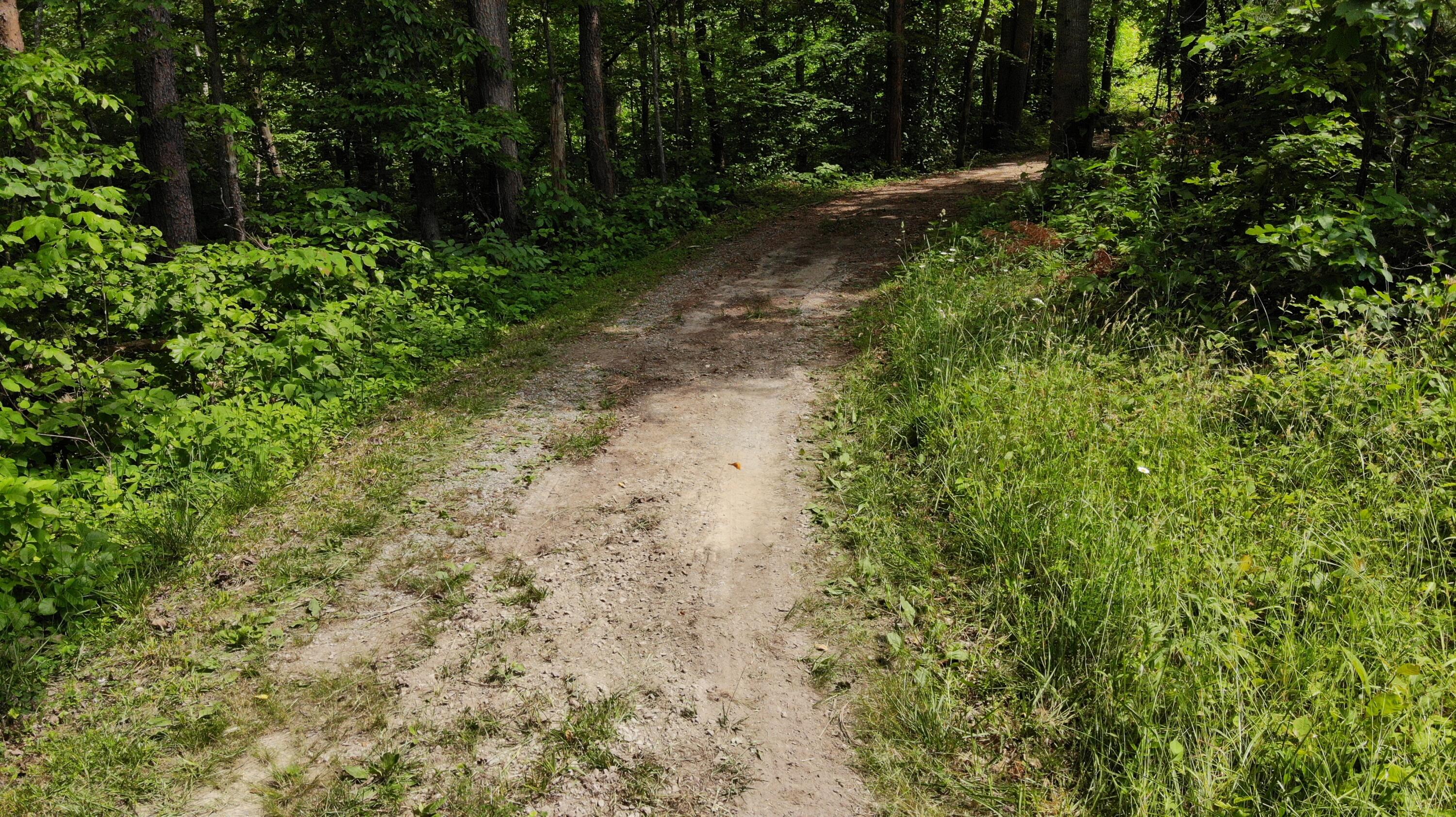 231 Polston Cemetery Road Property Photo 15