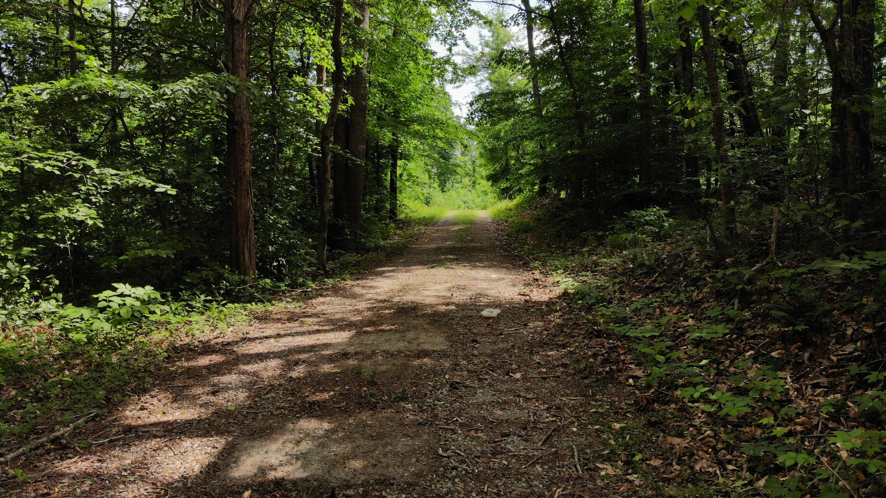 231 Polston Cemetery Road Property Photo 16