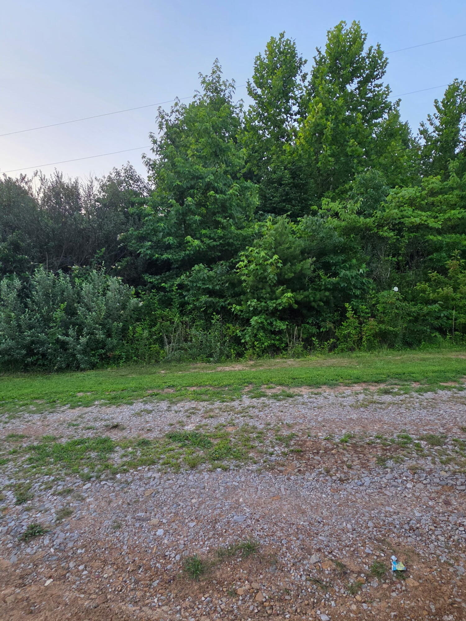 5425 S Ky 233 Property Photo 42
