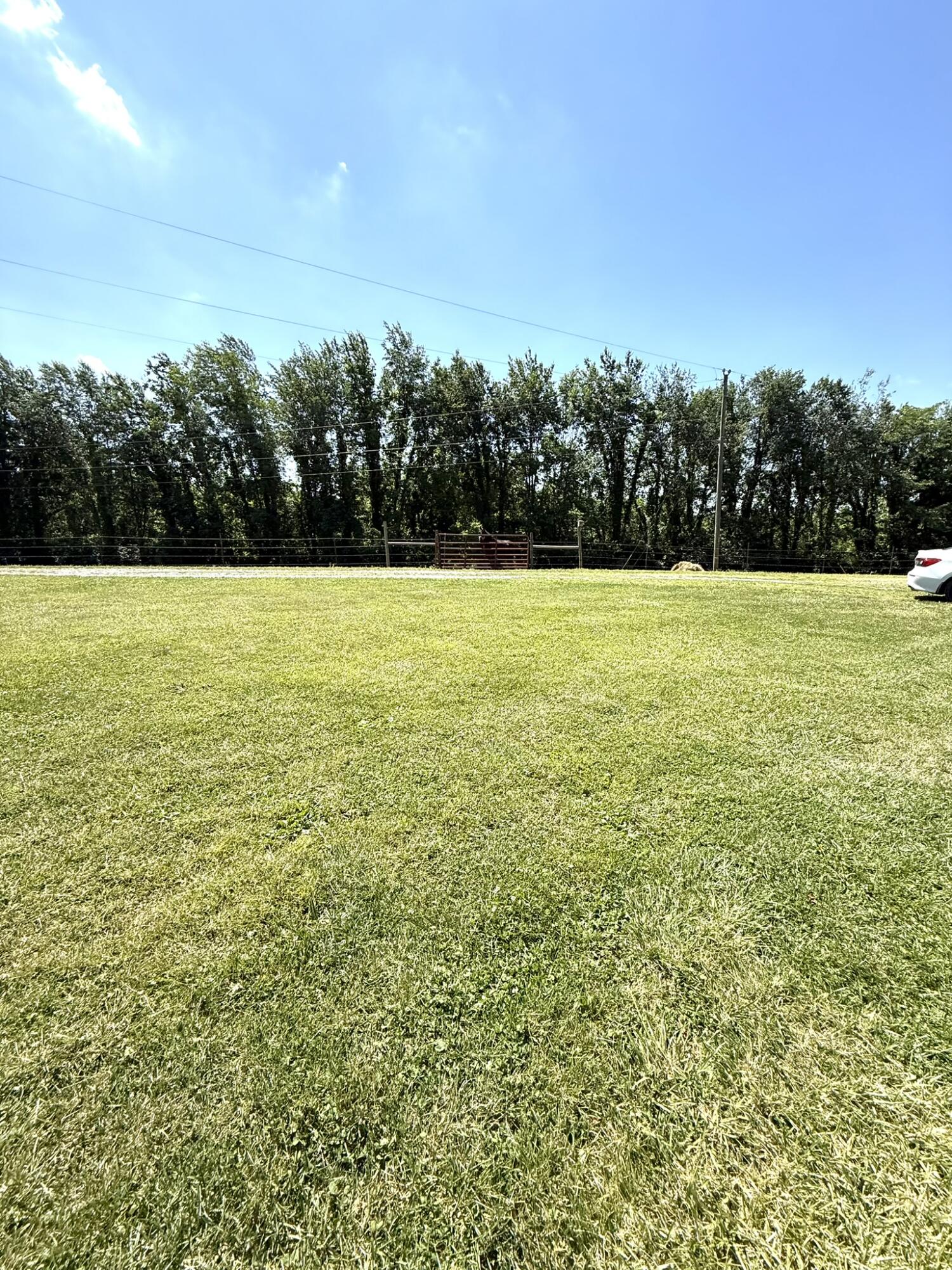 173 Brewer Way Property Photo 76