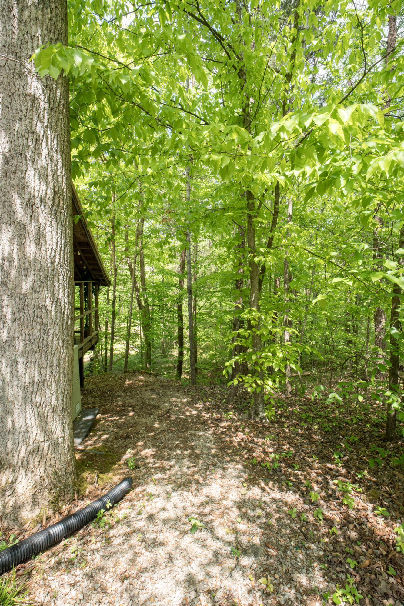 2040 Echo Point Road Property Photo 36