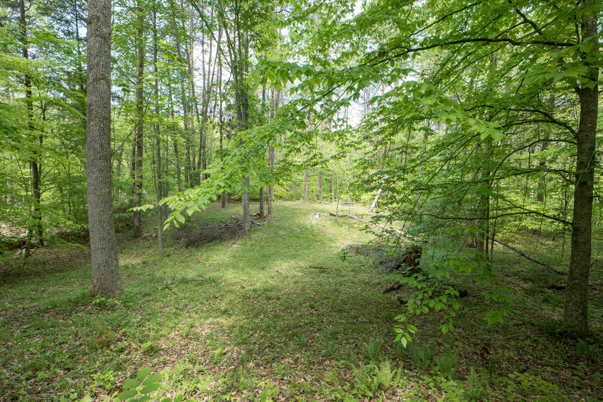 2040 Echo Point Road Property Photo 40
