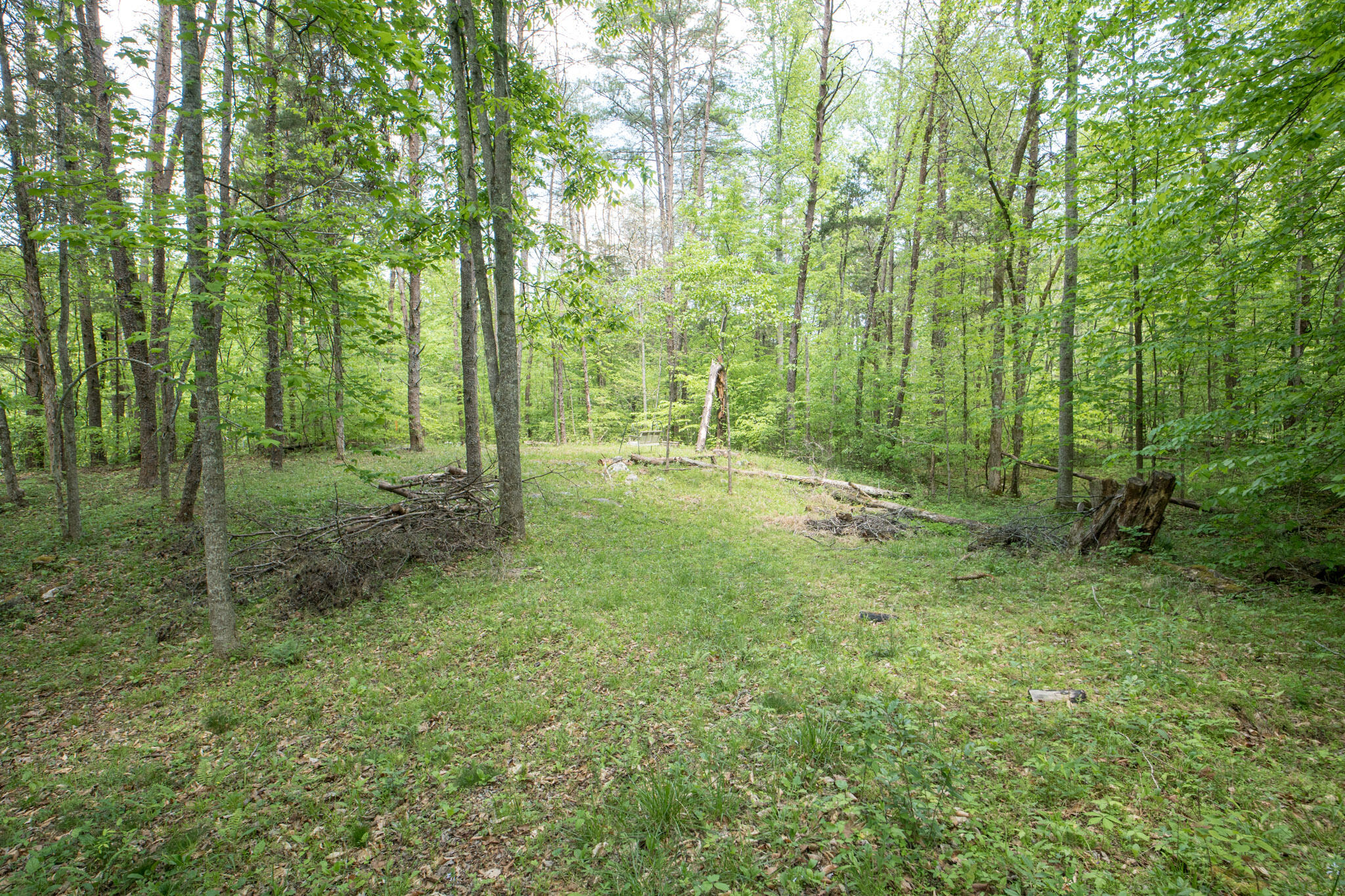 2040 Echo Point Road Property Photo 43