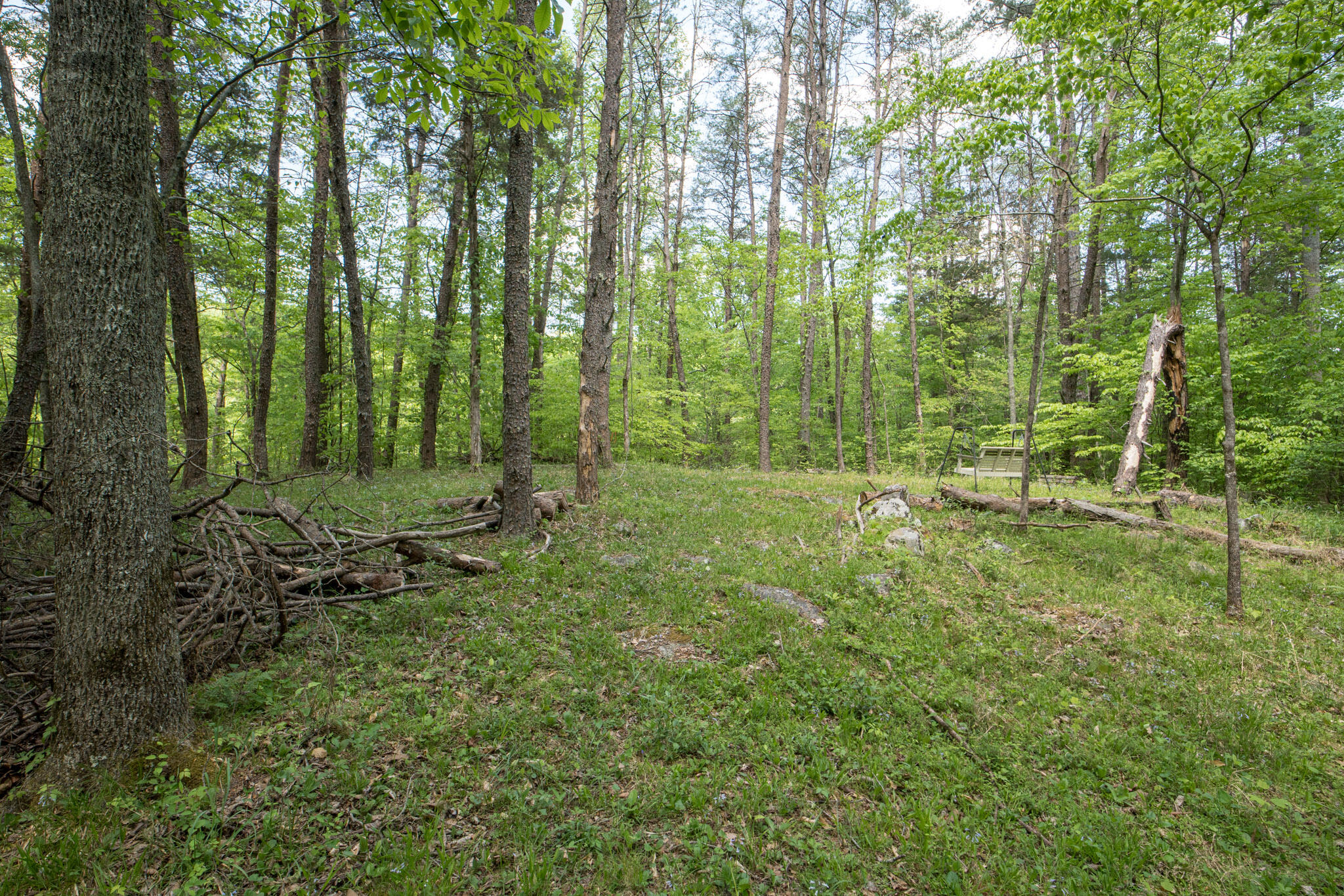 2040 Echo Point Road Property Photo 45