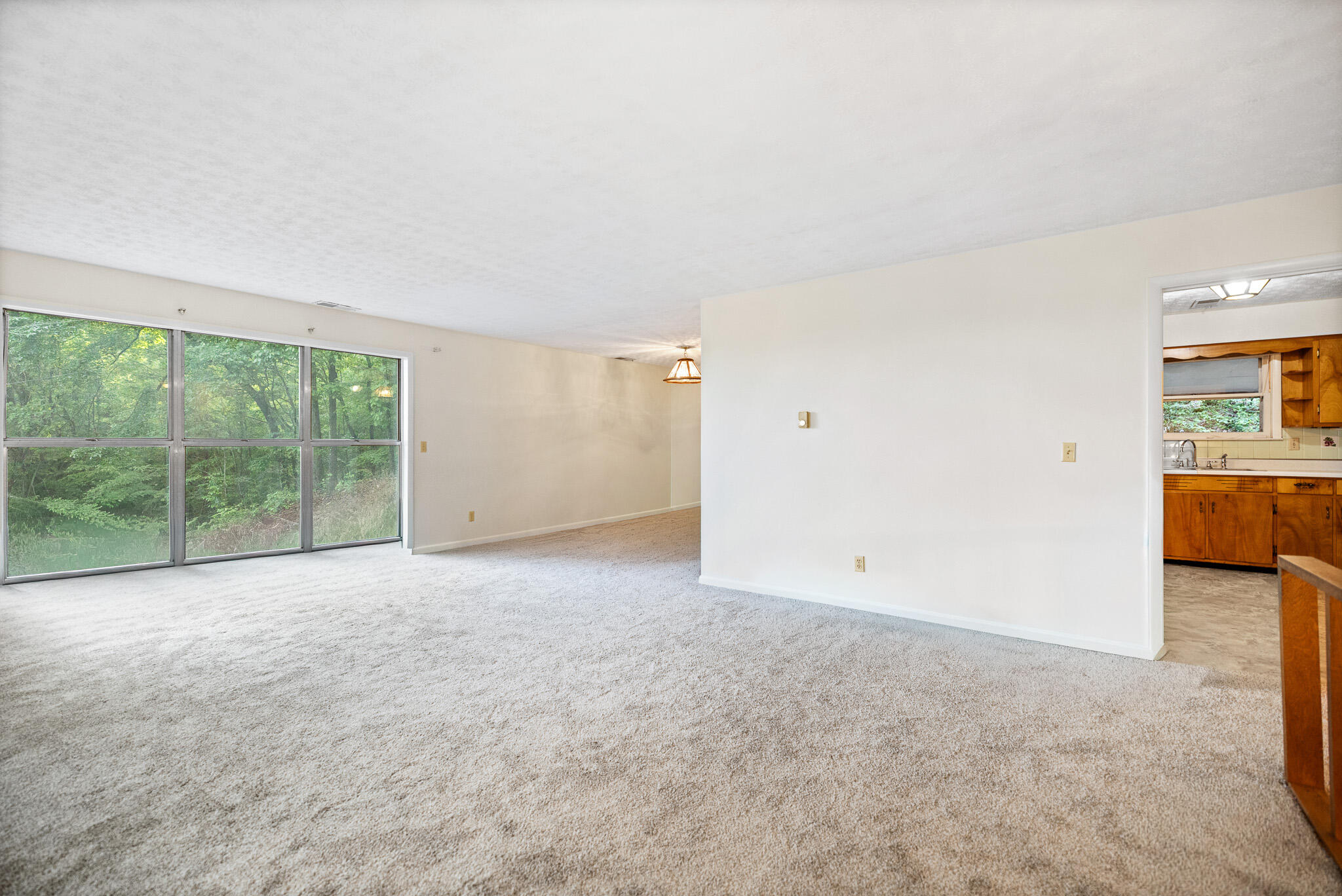 2371 State Highway 1568 Property Photo 16