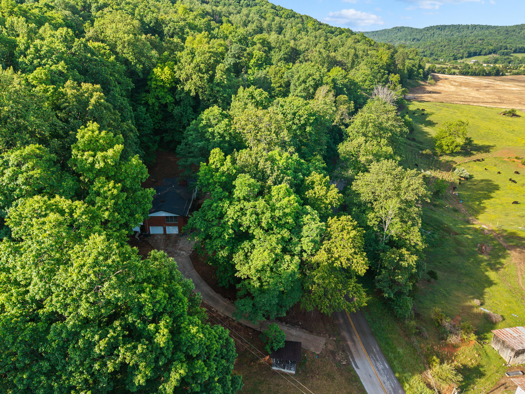 2371 State Highway 1568 Property Photo 52