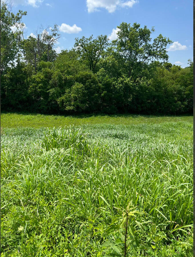 128 Oak View Drive Property Photo 1