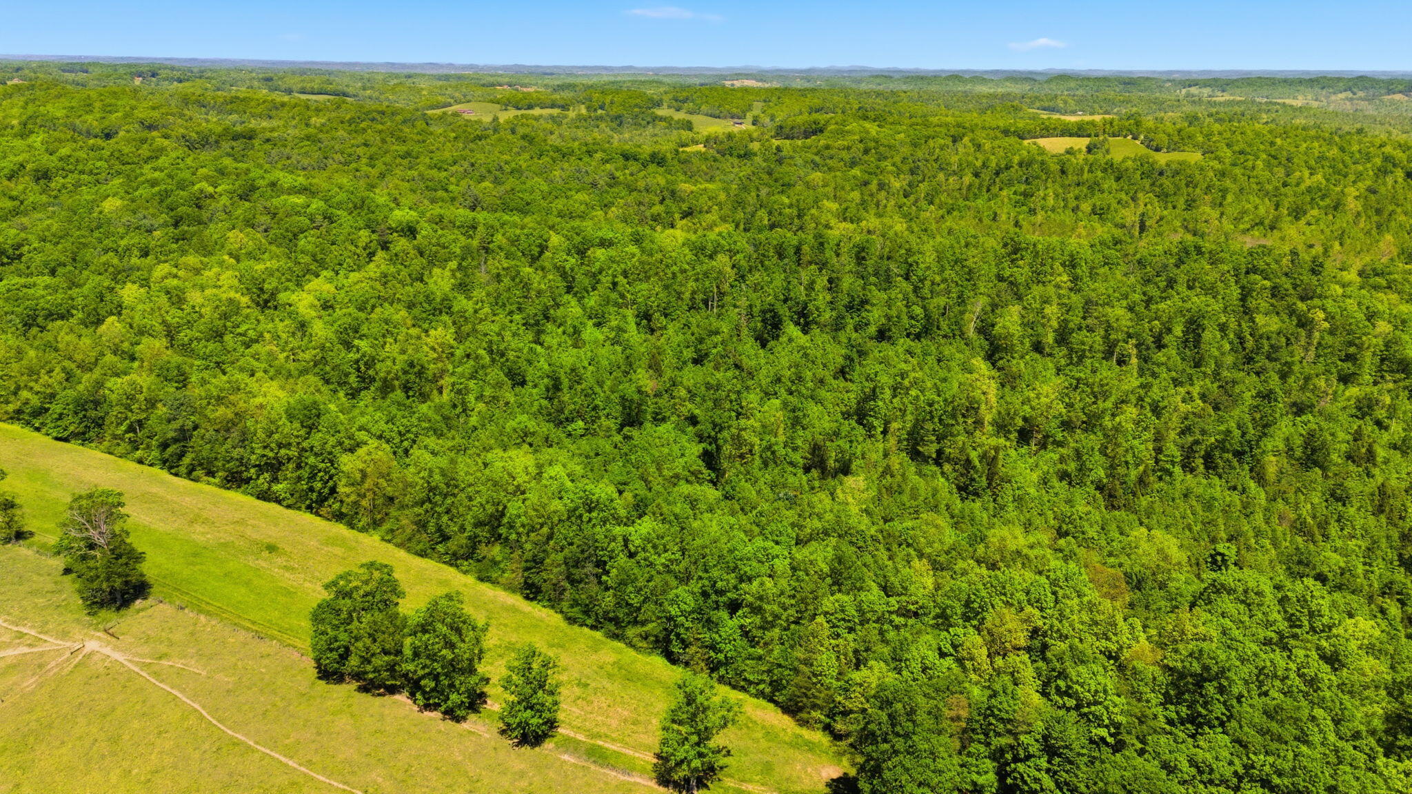 0 Cr-1426 Road Property Photo 2