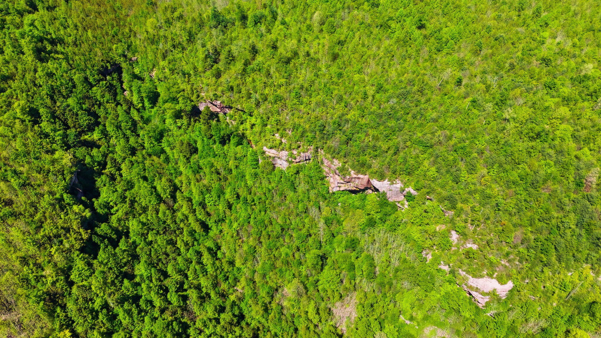 0 Cr-1426 Road Property Photo 10